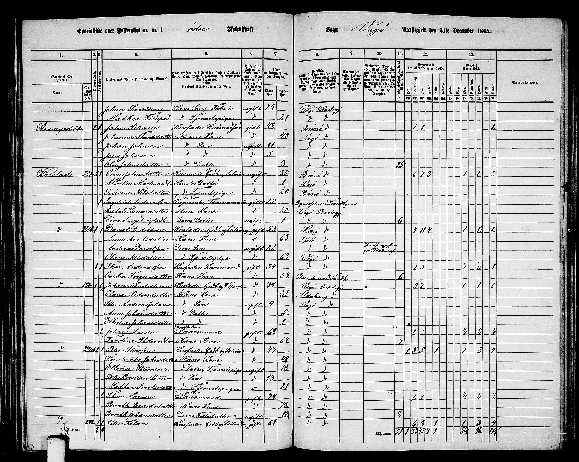 RA, 1865 census for Vega, 1865, p. 17