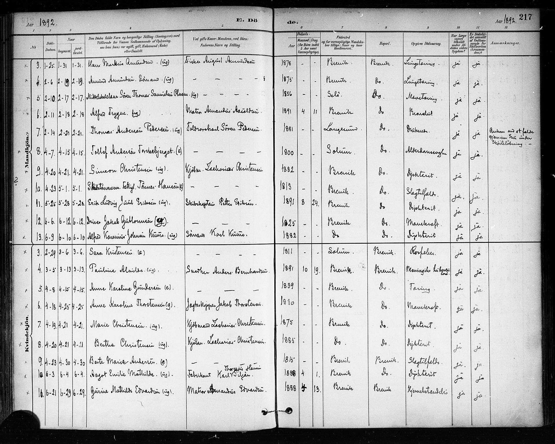 Brevik kirkebøker, SAKO/A-255/F/Fa/L0007: Parish register (official) no. 7, 1882-1900, p. 217