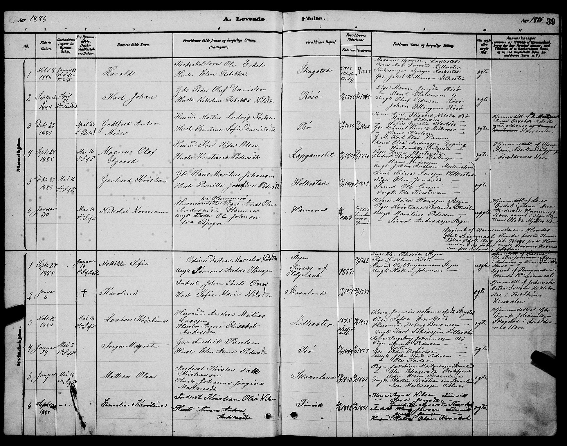 Ministerialprotokoller, klokkerbøker og fødselsregistre - Nordland, AV/SAT-A-1459/855/L0816: Parish register (copy) no. 855C05, 1879-1894, p. 39