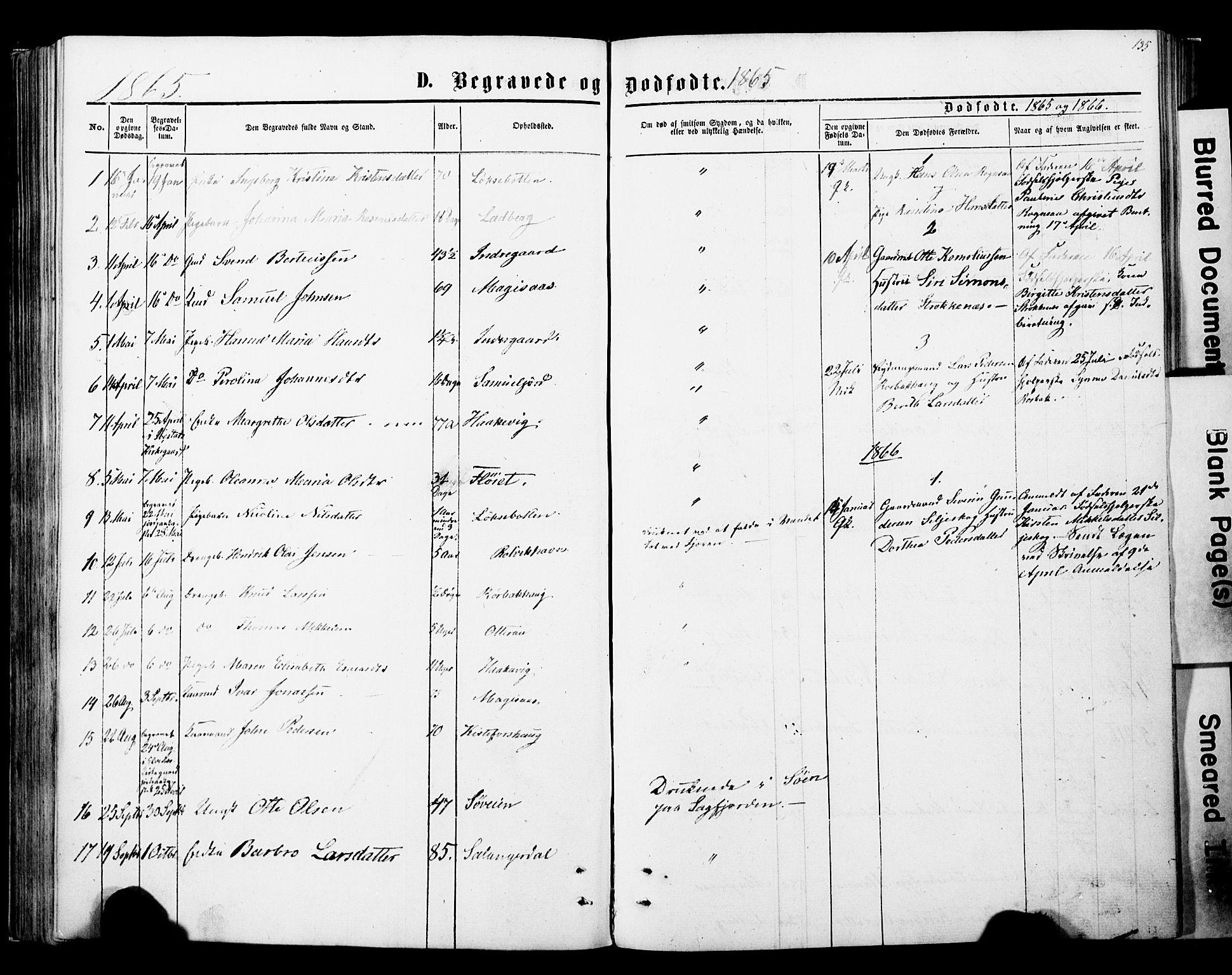Ibestad sokneprestembete, SATØ/S-0077/H/Ha/Haa/L0013kirke: Parish register (official) no. 13, 1865-1879, p. 135