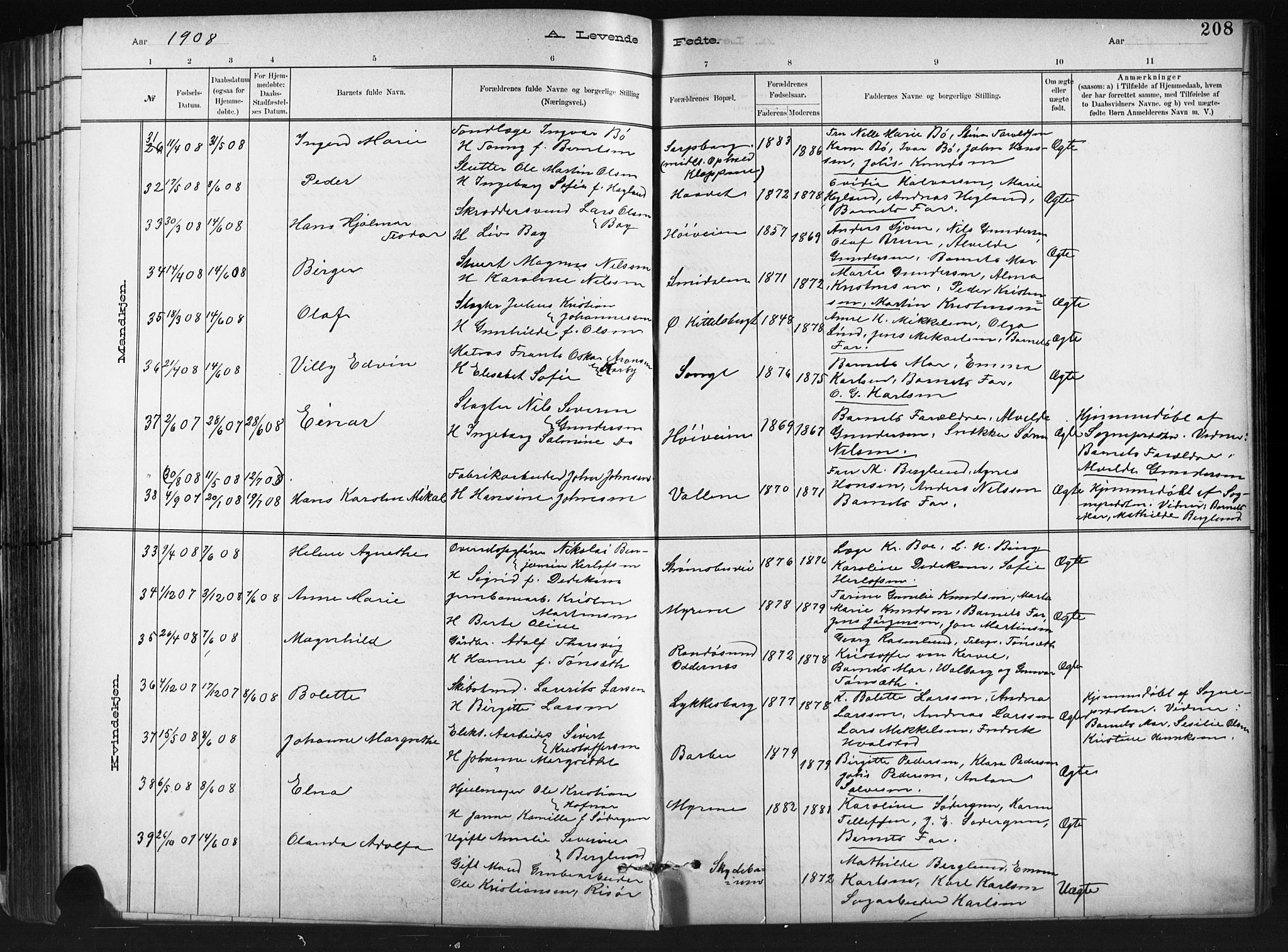 Barbu sokneprestkontor, SAK/1111-0003/F/Fb/L0002: Parish register (copy) no. B 2, 1890-1922, p. 208