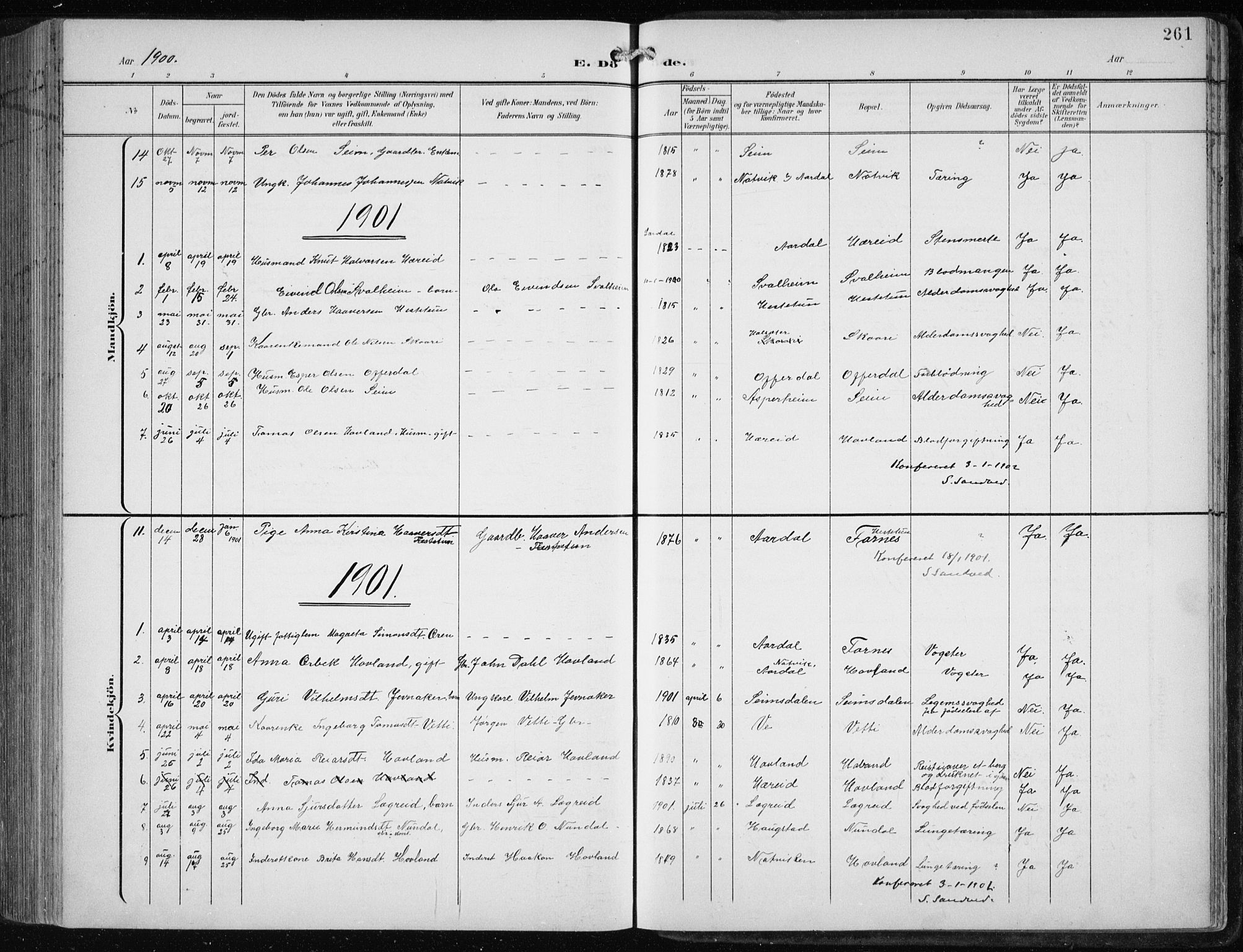 Årdal sokneprestembete, SAB/A-81701: Parish register (copy) no. A 2, 1899-1939, p. 261