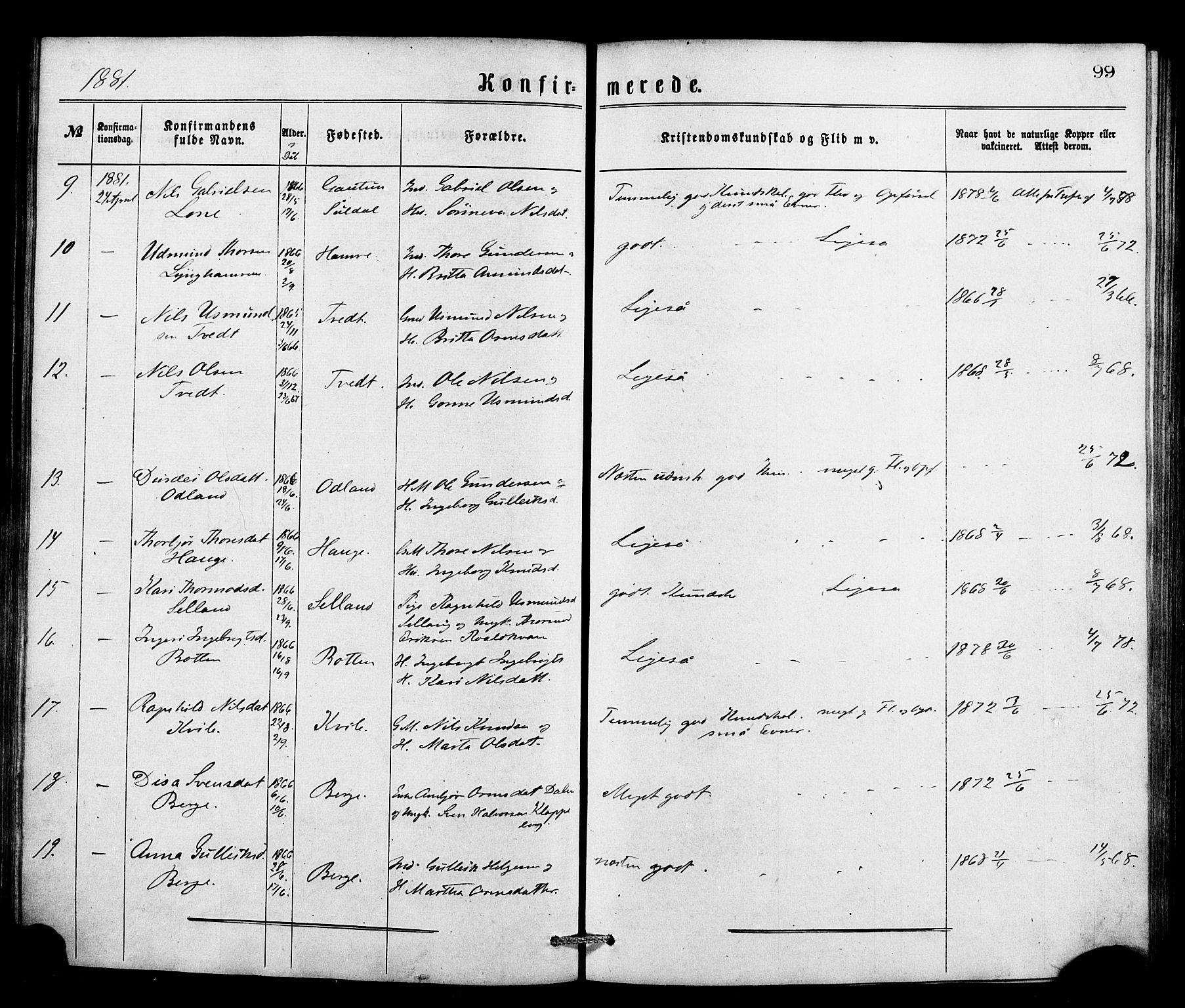 Røldal sokneprestembete, SAB/A-100247: Parish register (official) no. A 4, 1870-1886, p. 99