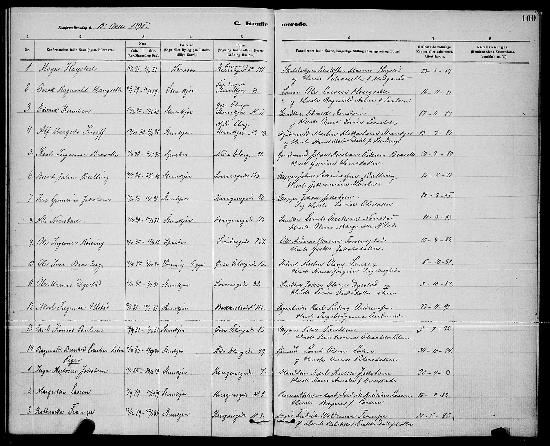 Ministerialprotokoller, klokkerbøker og fødselsregistre - Nord-Trøndelag, SAT/A-1458/739/L0374: Parish register (copy) no. 739C02, 1883-1898, p. 100