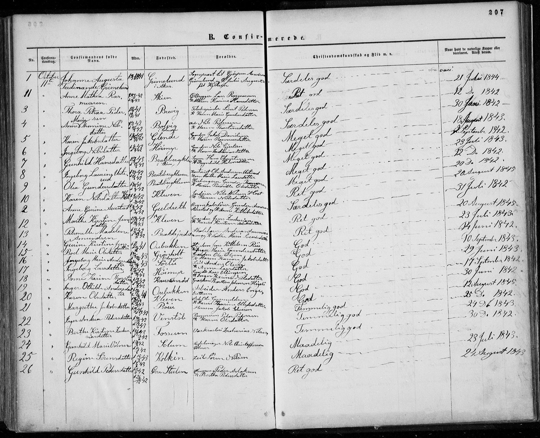 Gjerpen kirkebøker, SAKO/A-265/F/Fa/L0008a: Parish register (official) no. I 8A, 1857-1871, p. 207