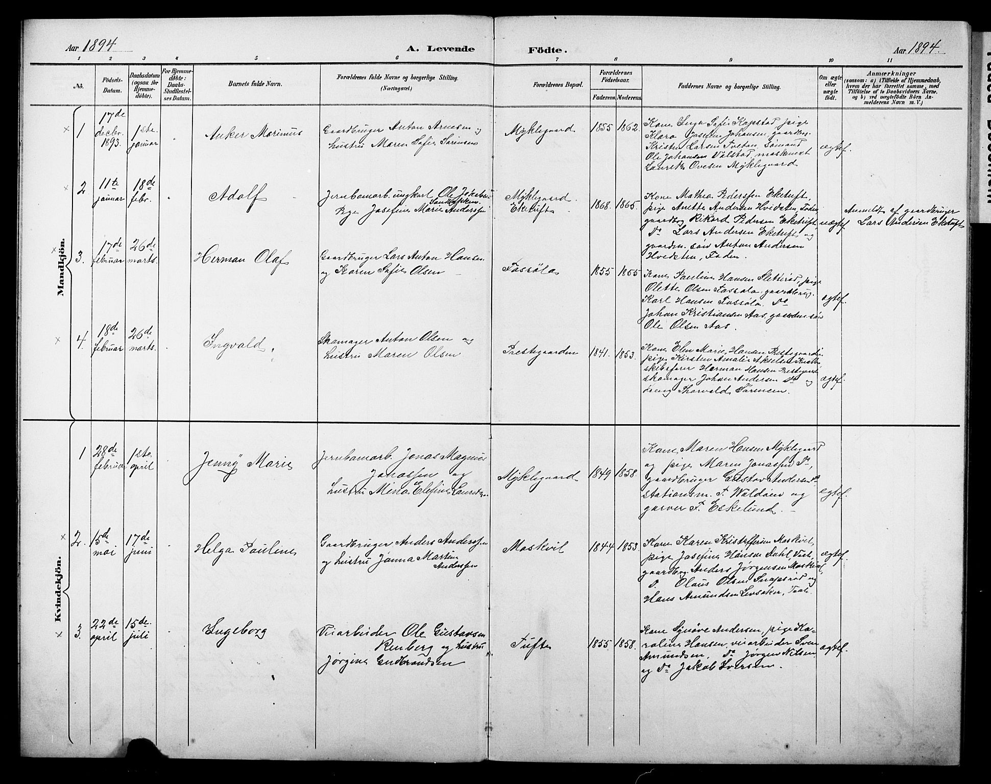 Borre kirkebøker, AV/SAKO-A-338/G/Gb/L0003: Parish register (copy) no. II 3, 1893-1905