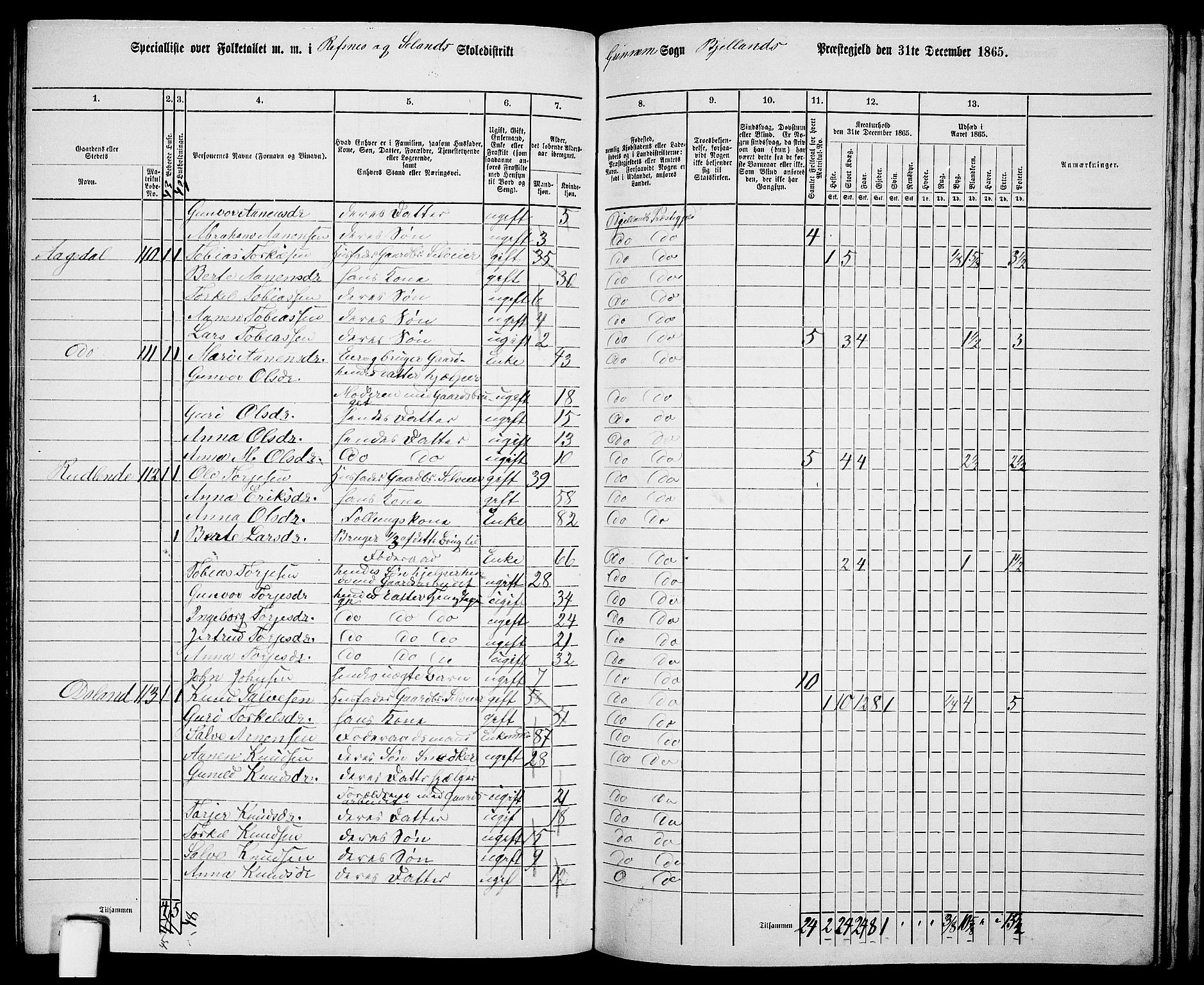 RA, 1865 census for Bjelland, 1865, p. 81