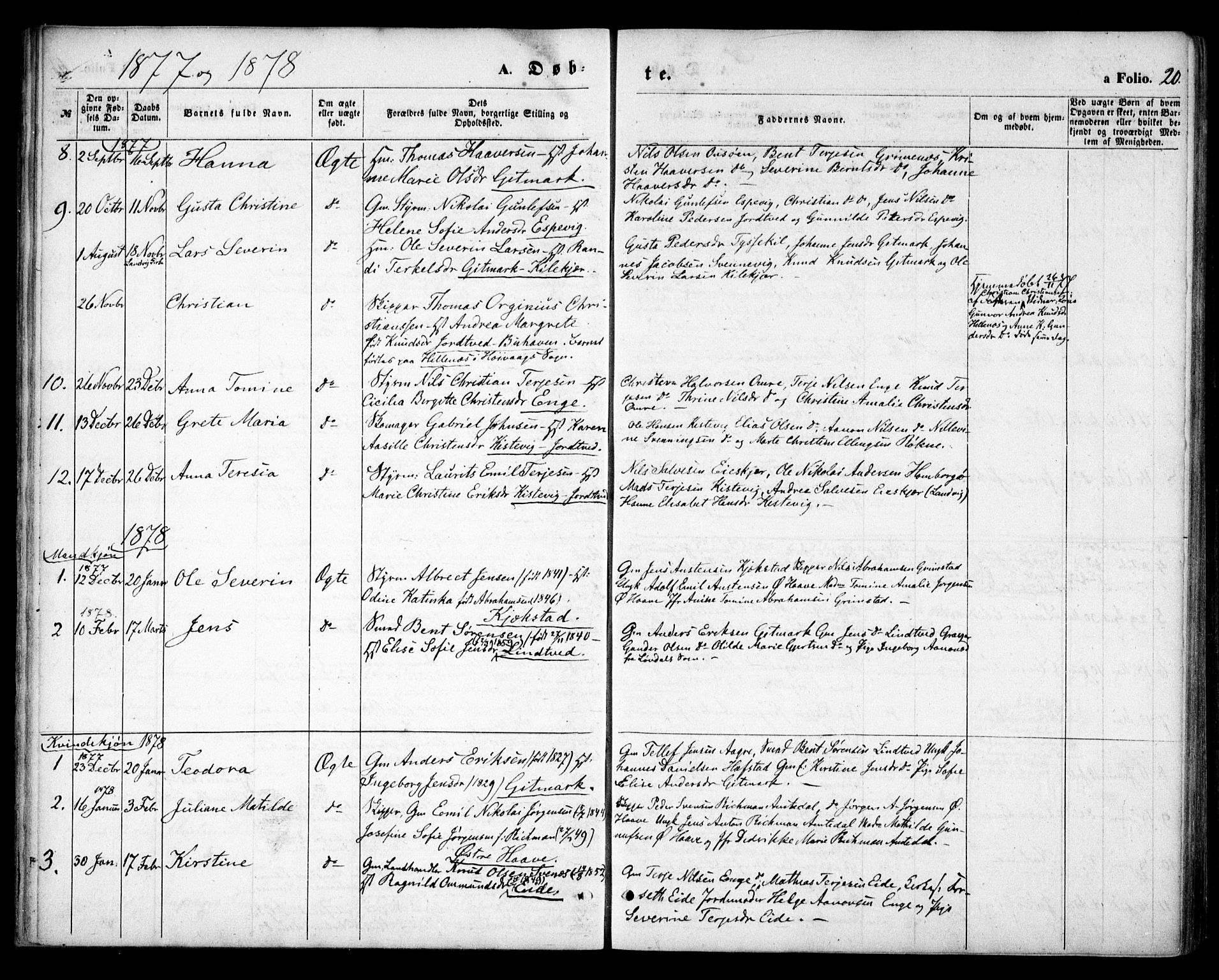 Hommedal sokneprestkontor, AV/SAK-1111-0023/F/Fa/Faa/L0002: Parish register (official) no. A 2, 1861-1884, p. 20