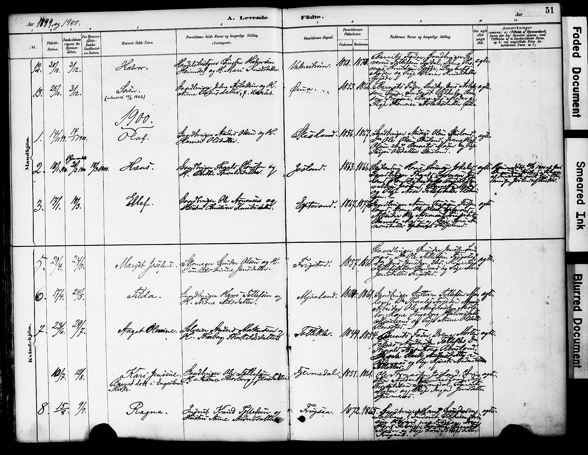 Evje sokneprestkontor, SAK/1111-0008/F/Fa/Fac/L0003: Parish register (official) no. A 3, 1884-1909, p. 51