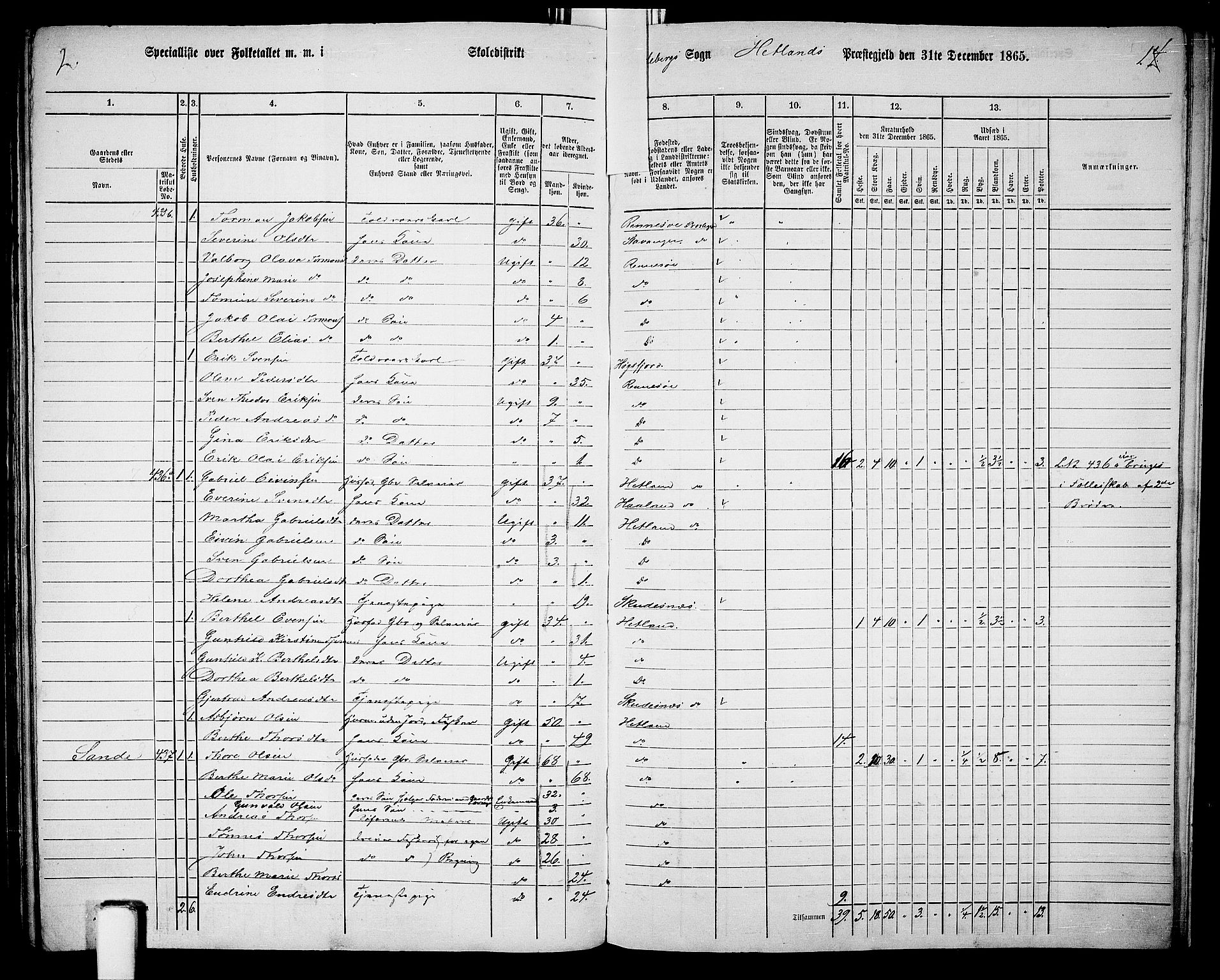 RA, 1865 census for Hetland, 1865, p. 199