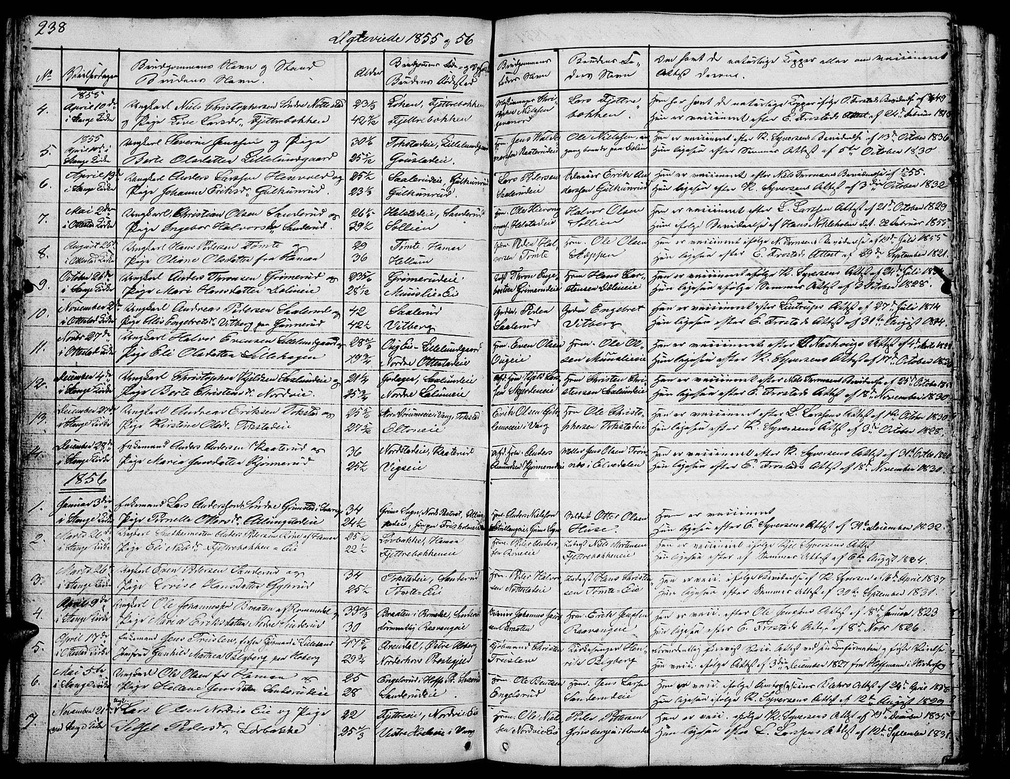 Stange prestekontor, AV/SAH-PREST-002/L/L0002: Parish register (copy) no. 2, 1838-1879, p. 238