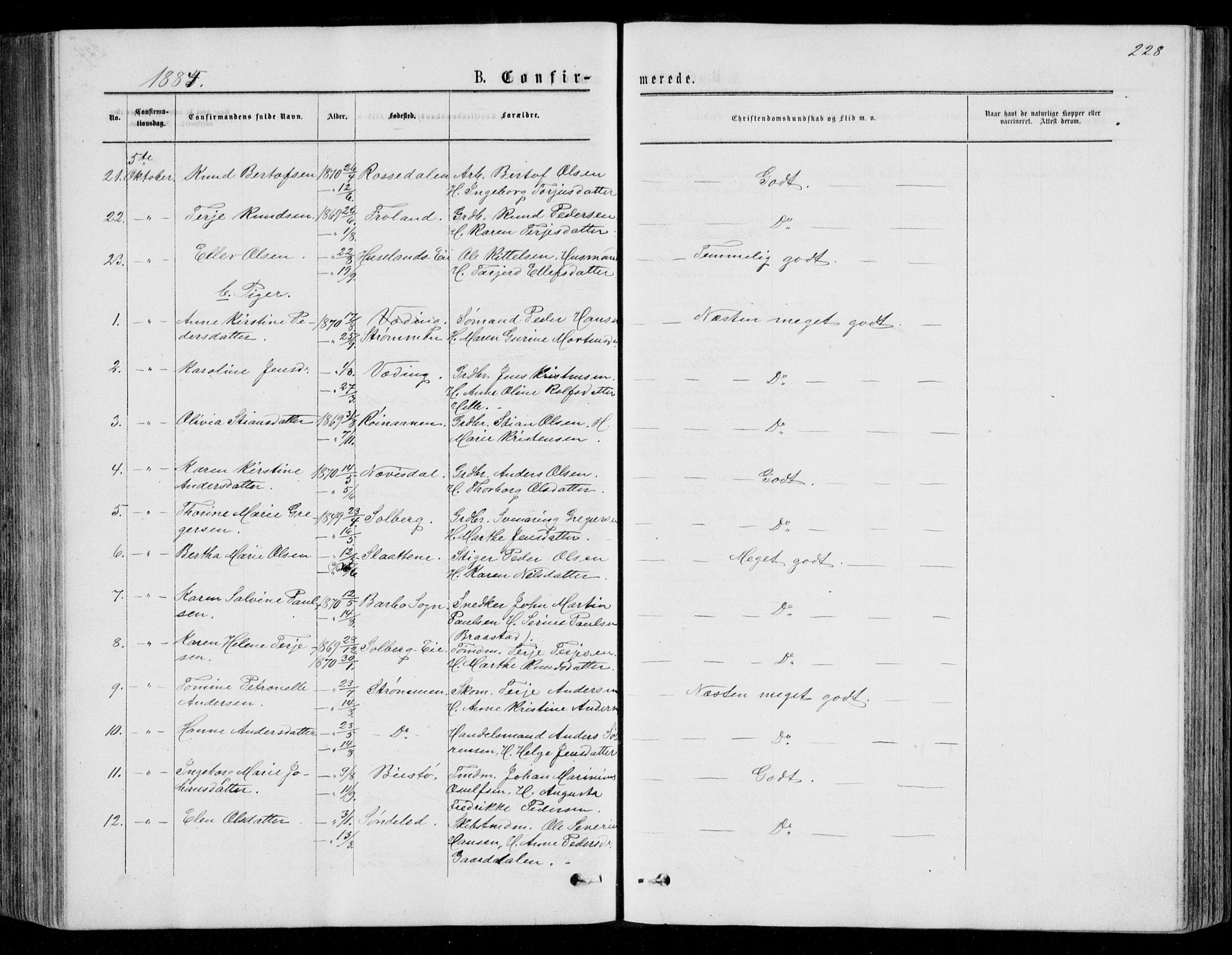 Øyestad sokneprestkontor, AV/SAK-1111-0049/F/Fb/L0008: Parish register (copy) no. B 8, 1872-1886, p. 228