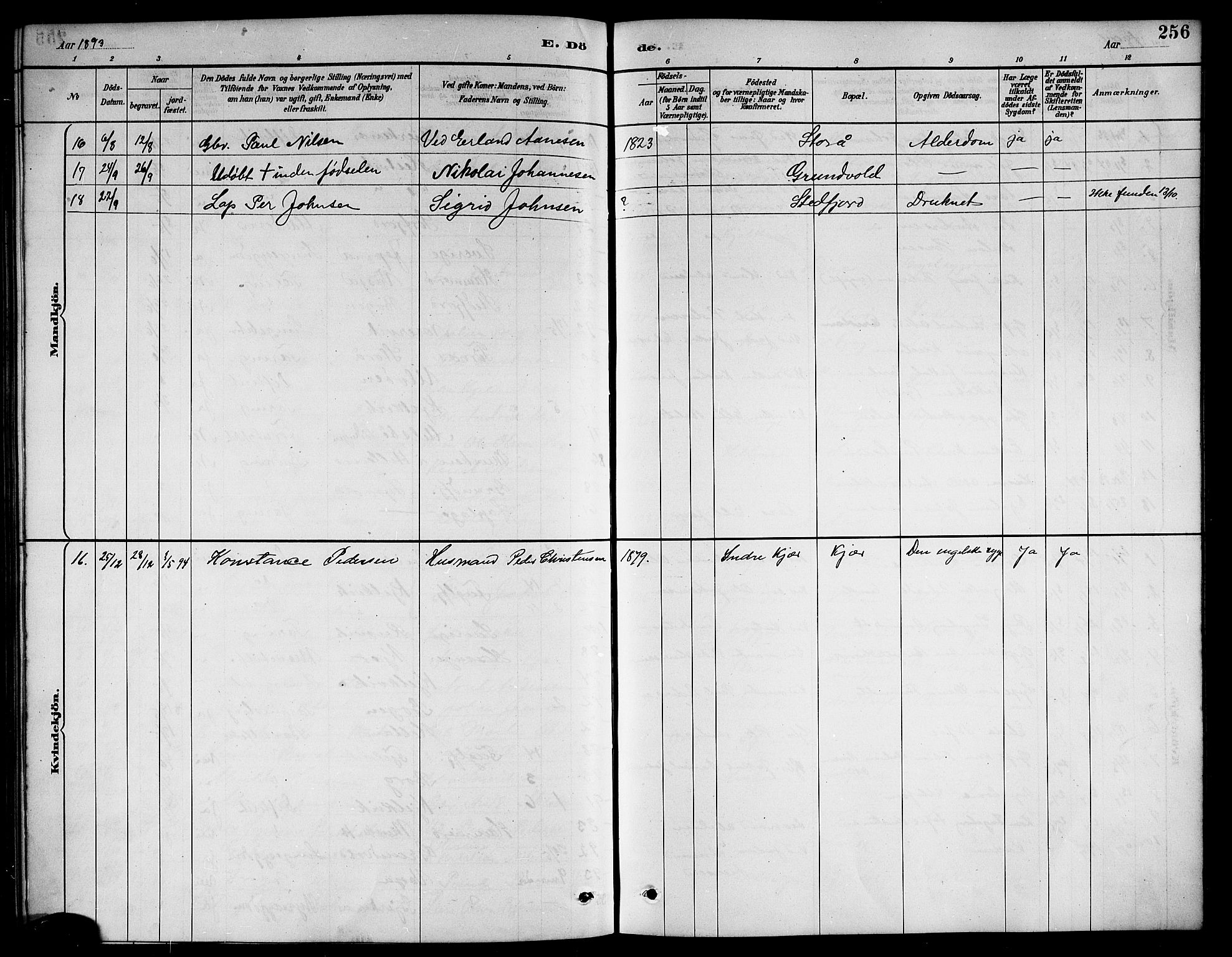 Ministerialprotokoller, klokkerbøker og fødselsregistre - Nordland, AV/SAT-A-1459/861/L0876: Parish register (copy) no. 861C02, 1887-1903, p. 256