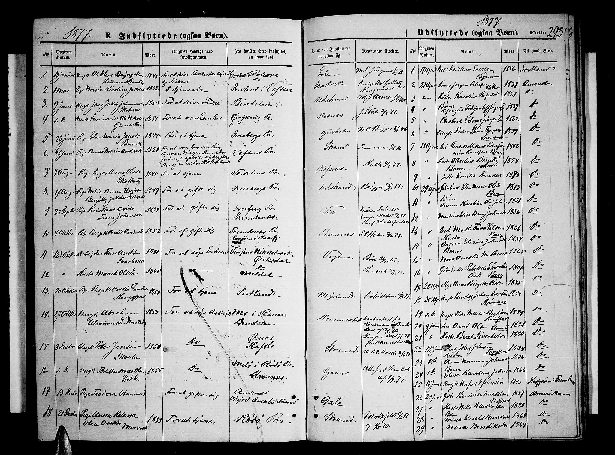 Kvæfjord sokneprestkontor, SATØ/S-1323/G/Ga/Gab/L0004klokker: Parish register (copy) no. 4, 1870-1886, p. 293