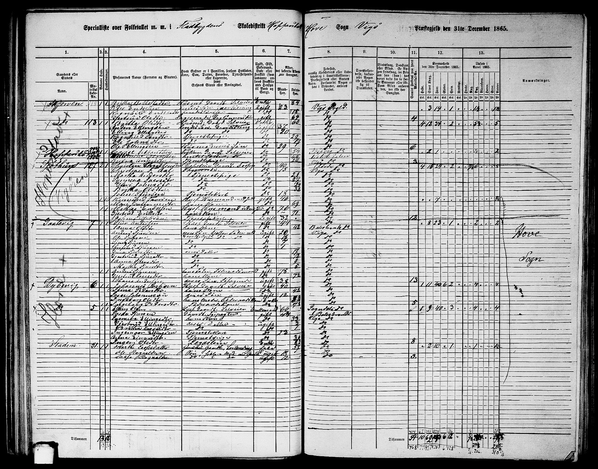 RA, 1865 census for Vik, 1865, p. 55