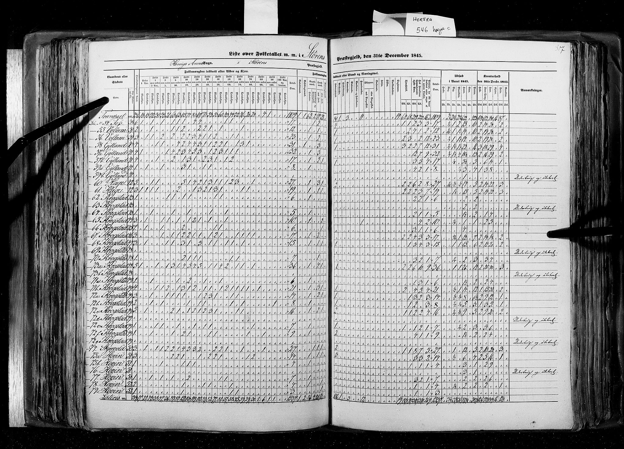 RA, Census 1845, vol. 8: Romsdal amt og Søndre Trondhjems amt, 1845, p. 307