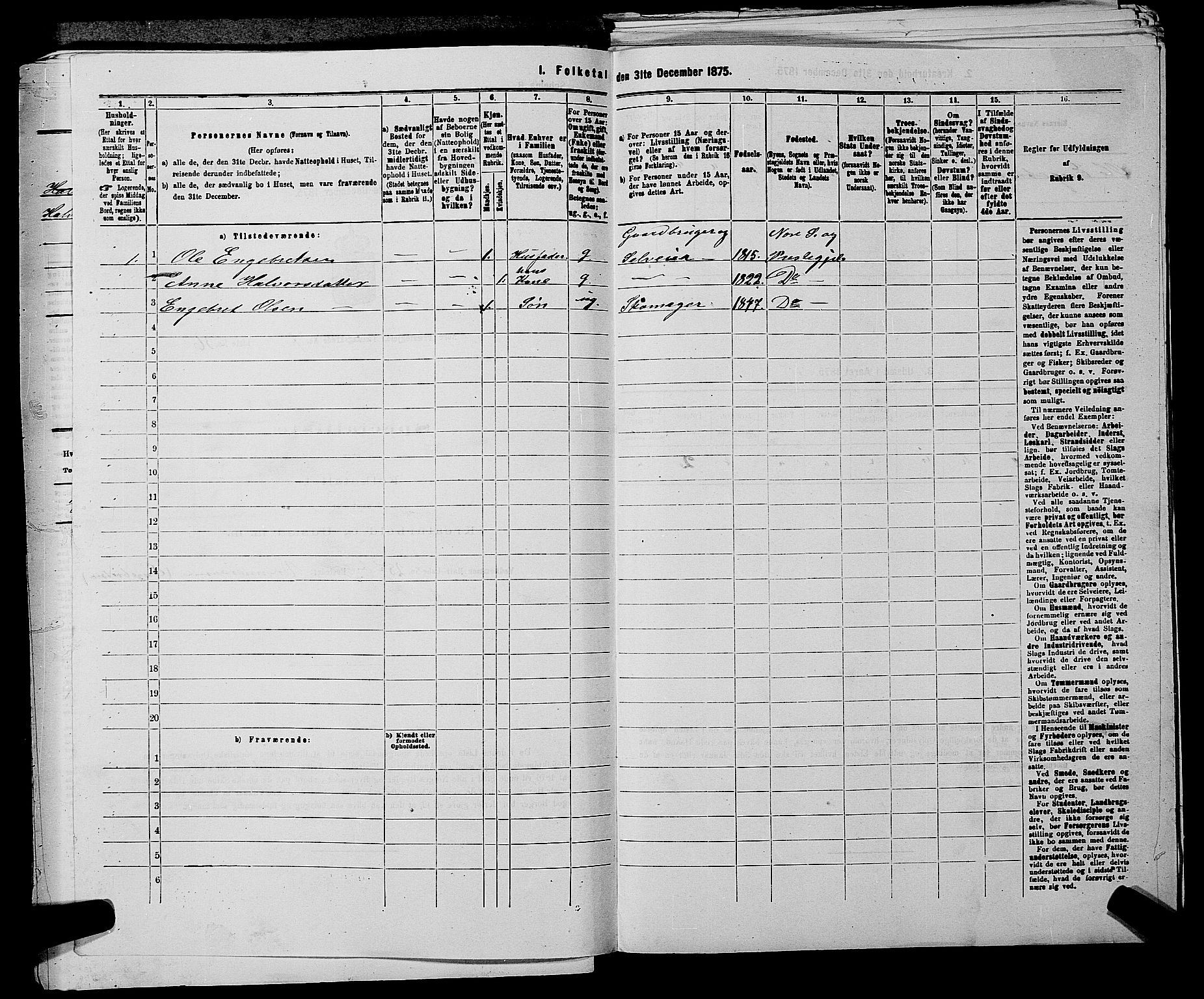 SAKO, 1875 census for 0633P Nore, 1875, p. 915