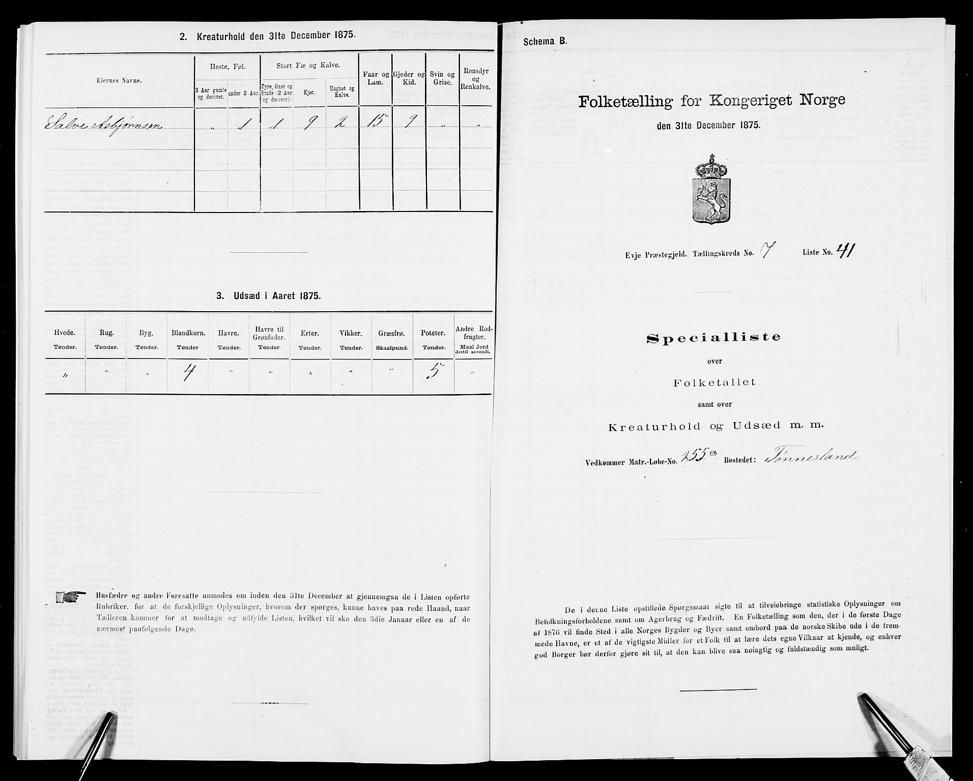 SAK, 1875 census for 0934P Evje, 1875, p. 667