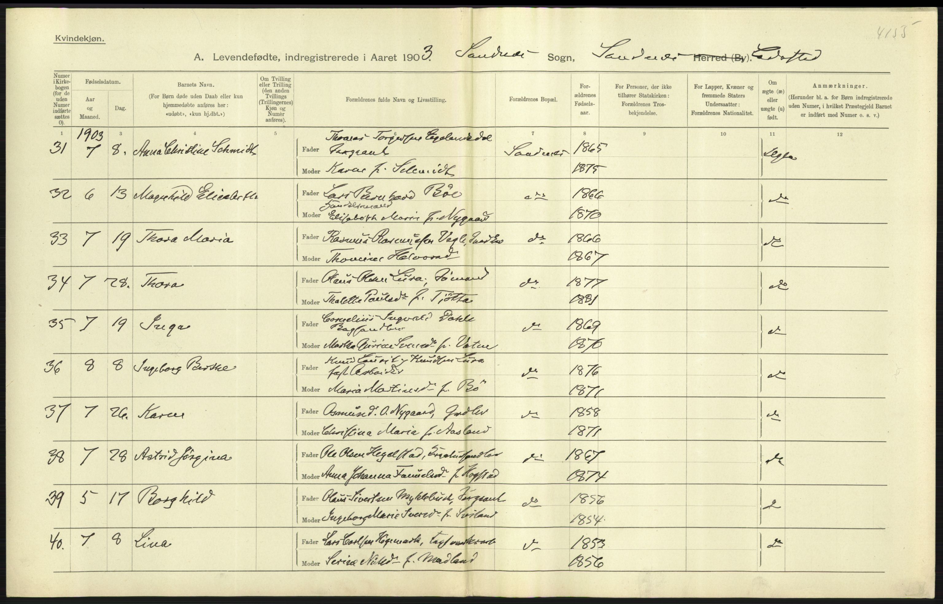 Statistisk sentralbyrå, Sosiodemografiske emner, Befolkning, AV/RA-S-2228/D/Df/Dfa/Dfaa/L0012: Stavanger amt: Fødte, gifte, døde, 1903, p. 319