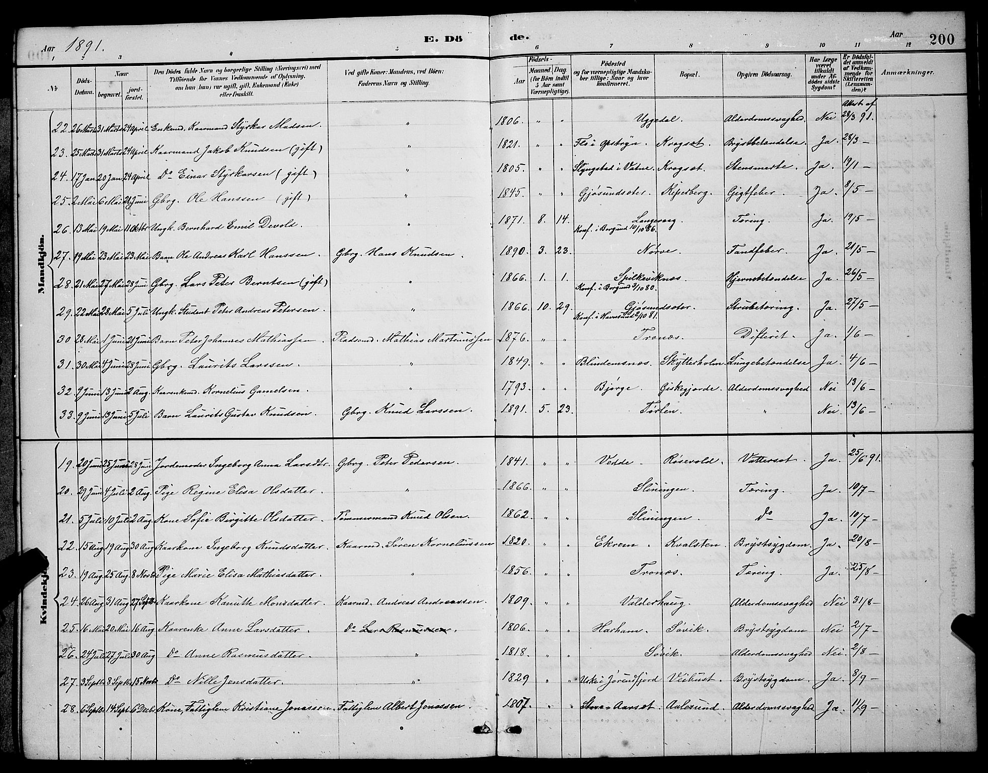 Ministerialprotokoller, klokkerbøker og fødselsregistre - Møre og Romsdal, SAT/A-1454/528/L0430: Parish register (copy) no. 528C11, 1884-1899, p. 200