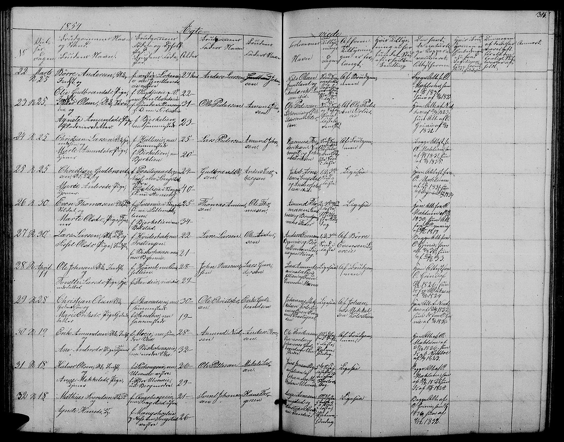 Ringsaker prestekontor, AV/SAH-PREST-014/L/La/L0006: Parish register (copy) no. 6, 1851-1860, p. 316