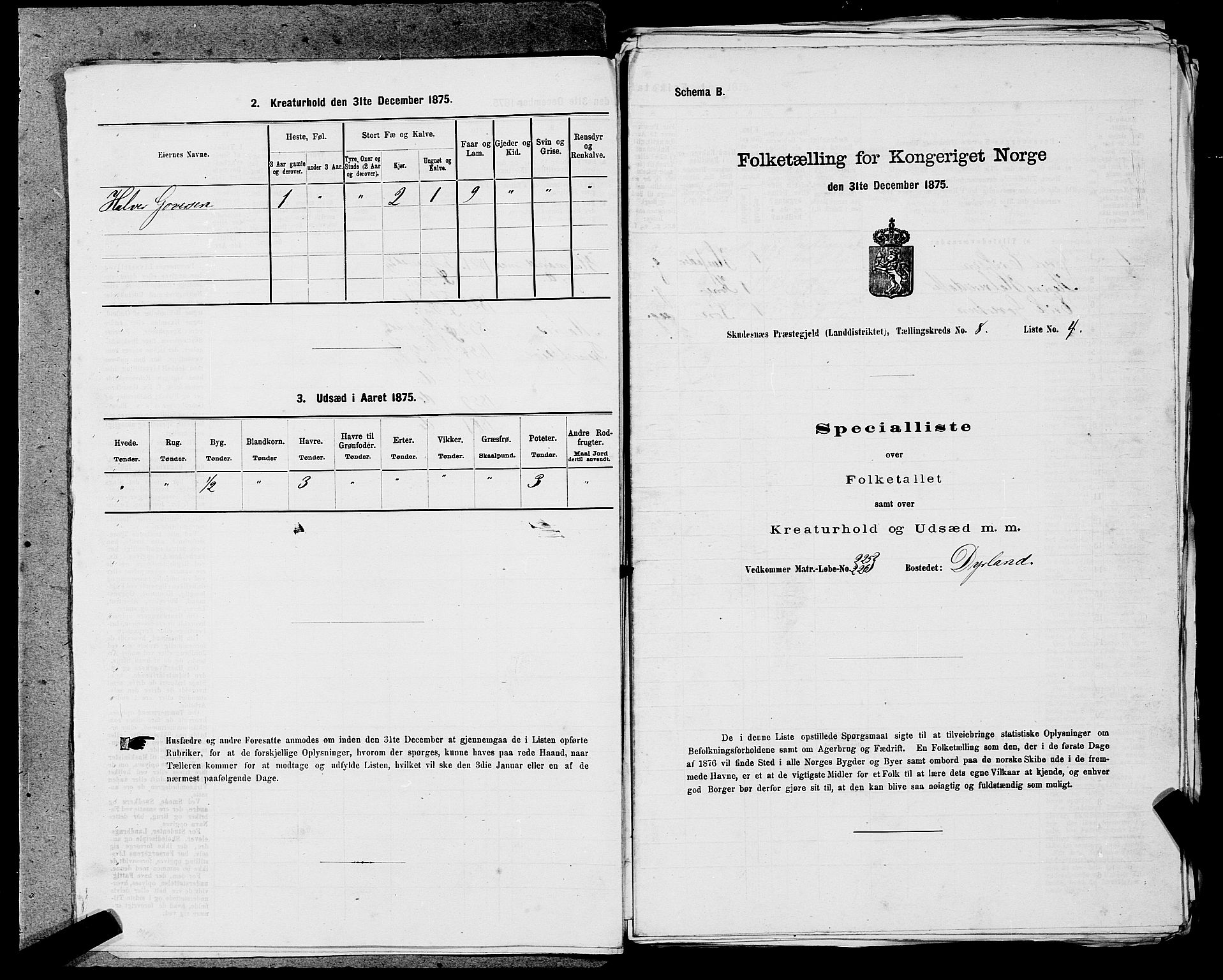 SAST, 1875 census for 1150L Skudenes/Falnes, Åkra og Ferkingstad, 1875, p. 1057