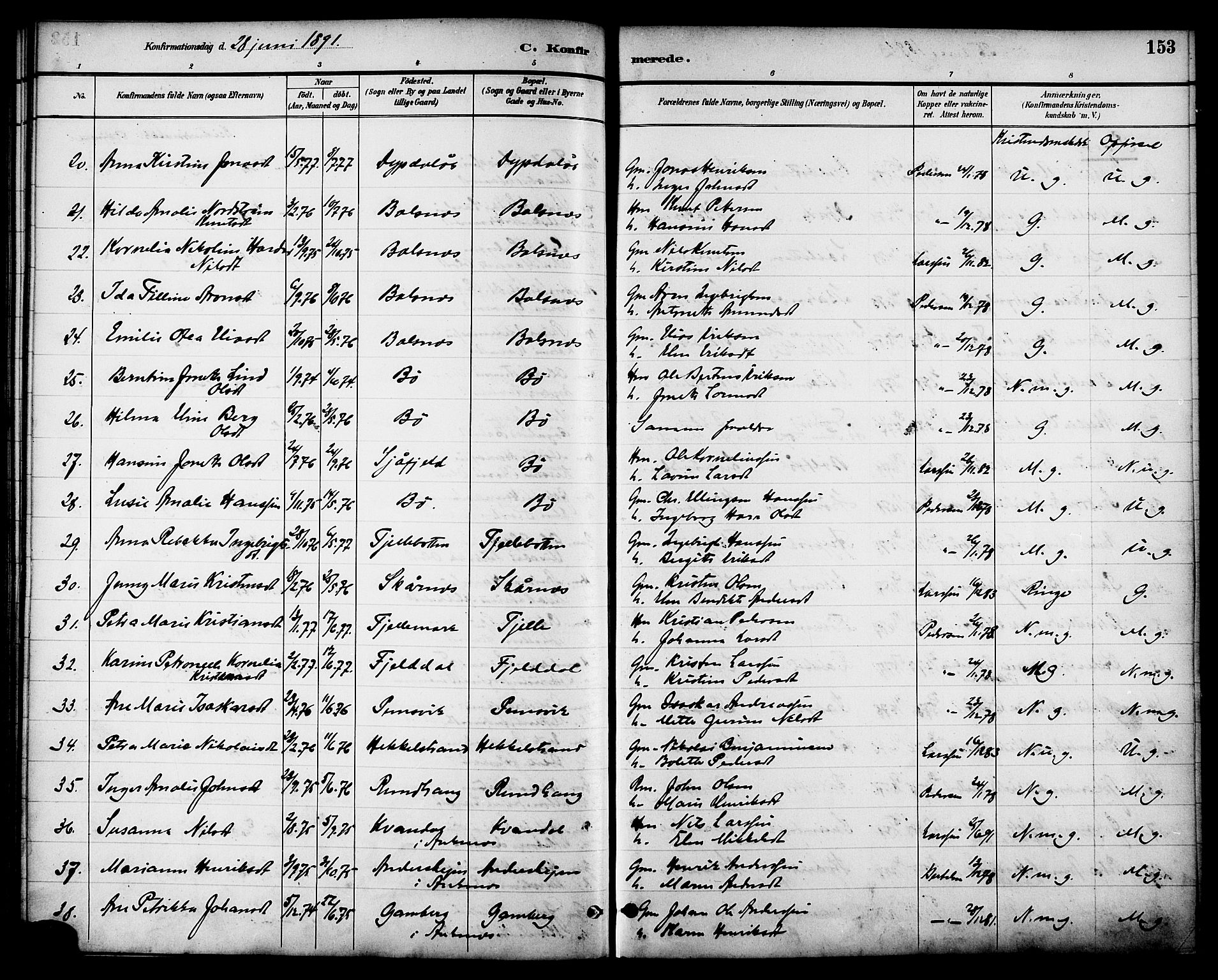 Ministerialprotokoller, klokkerbøker og fødselsregistre - Nordland, AV/SAT-A-1459/863/L0898: Parish register (official) no. 863A10, 1886-1897, p. 153