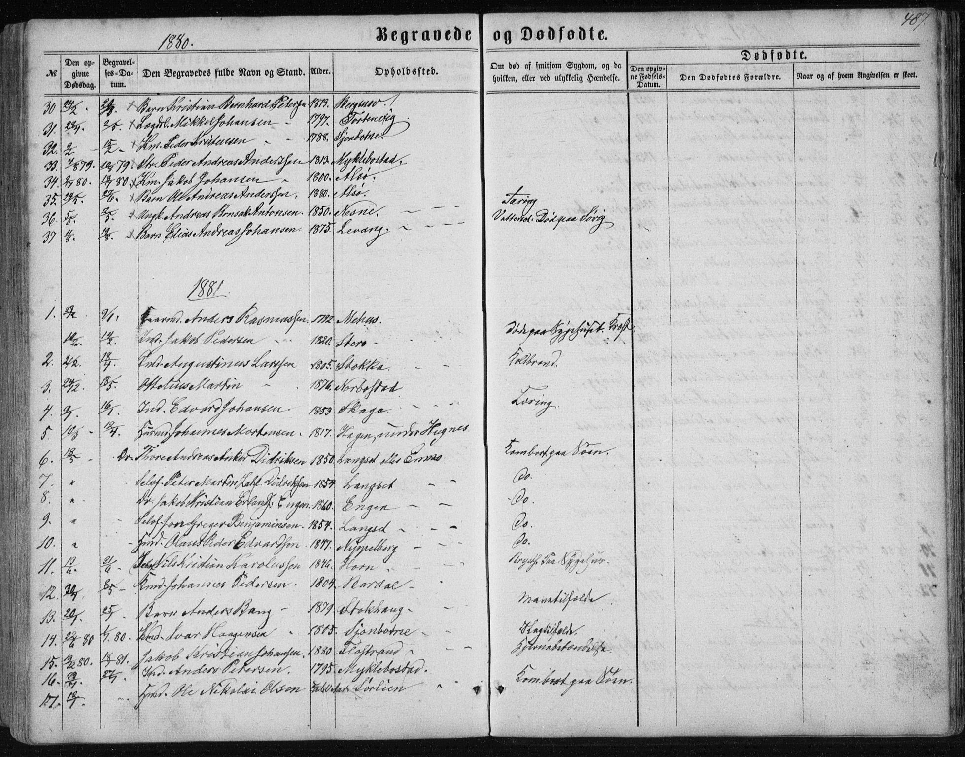 Ministerialprotokoller, klokkerbøker og fødselsregistre - Nordland, SAT/A-1459/838/L0556: Parish register (copy) no. 838C03, 1861-1893, p. 487
