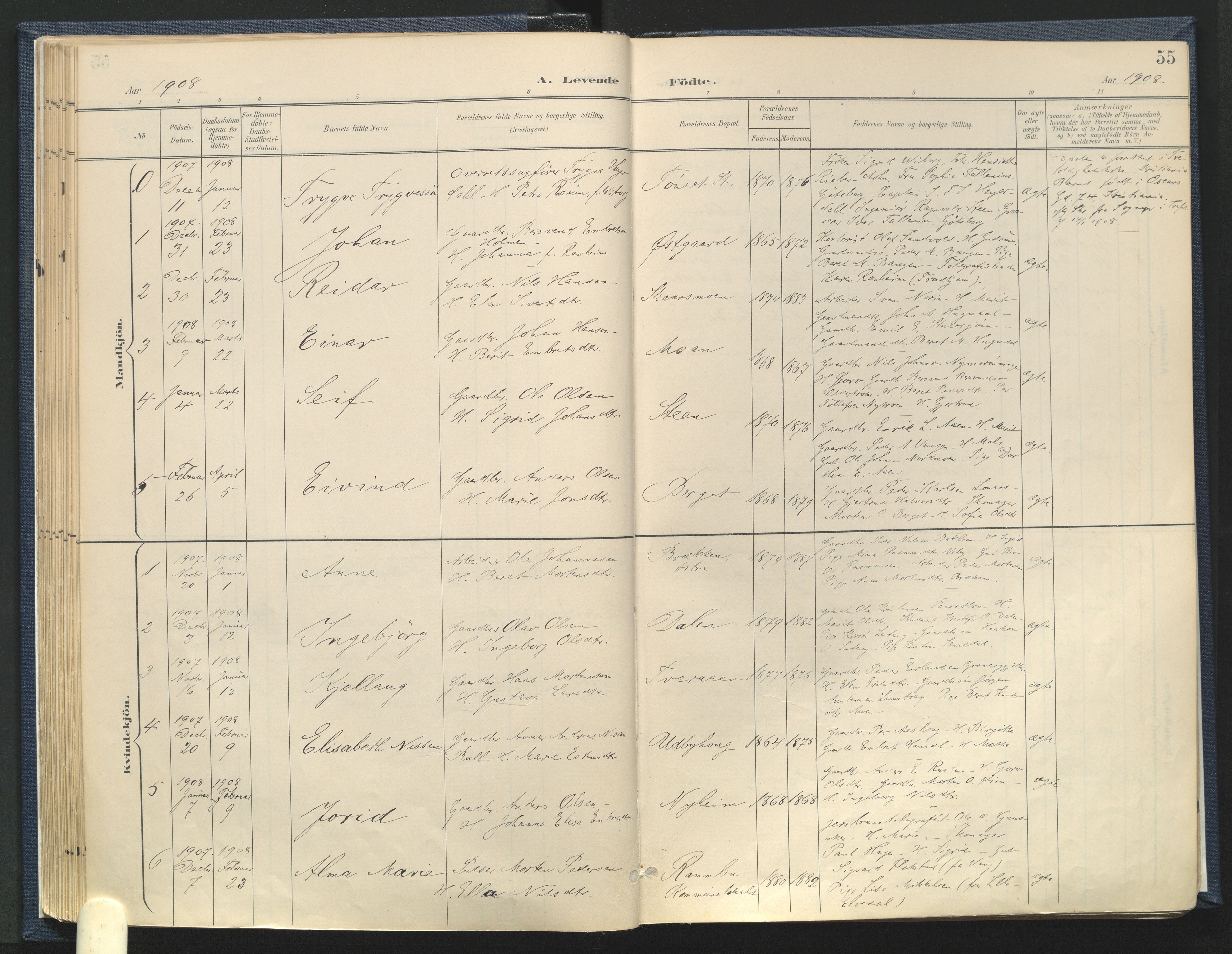 Tynset prestekontor, SAH/PREST-058/H/Ha/Haa/L0025: Parish register (official) no. 25, 1900-1914, p. 55