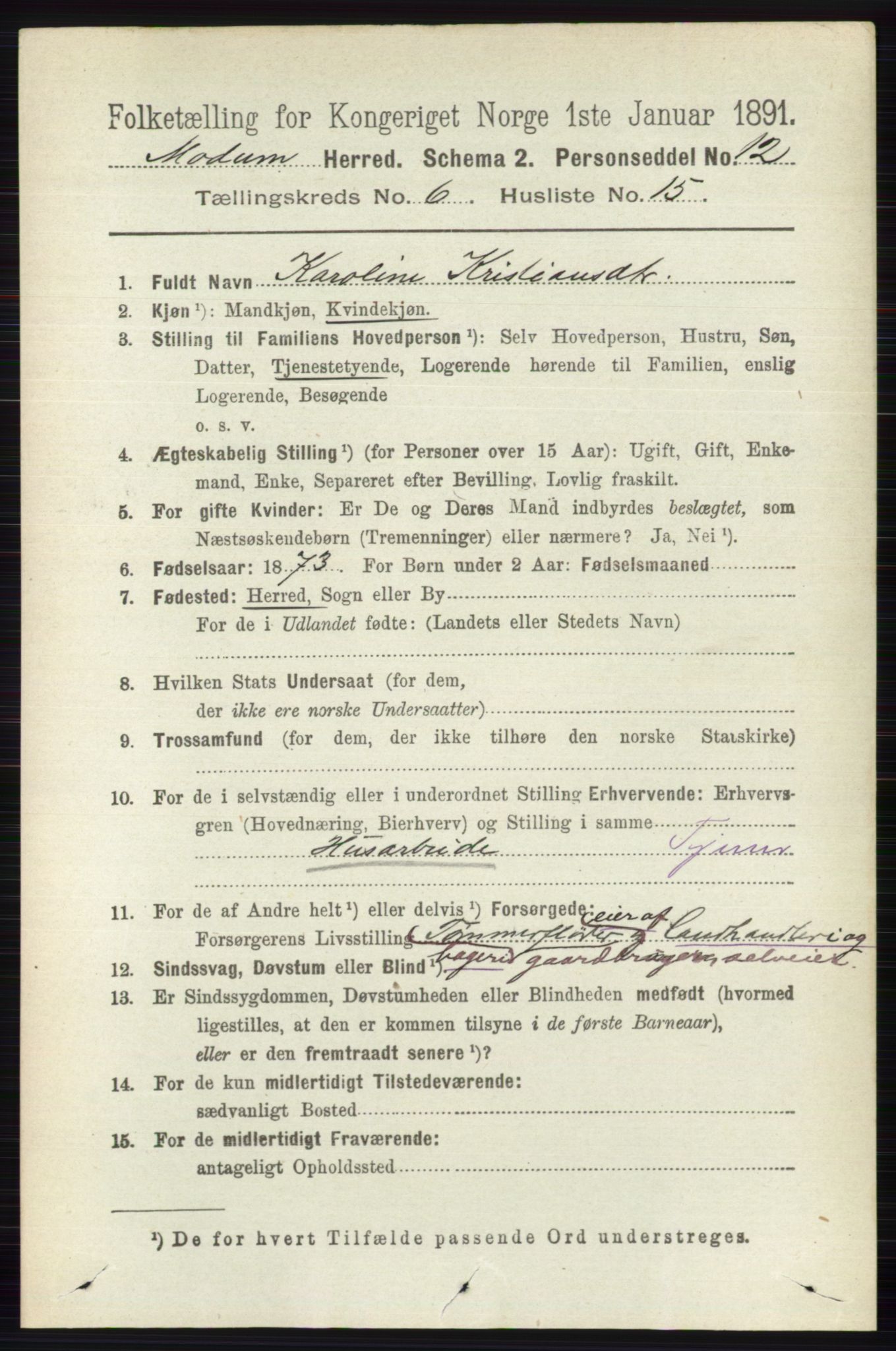 RA, 1891 census for 0623 Modum, 1891, p. 2245