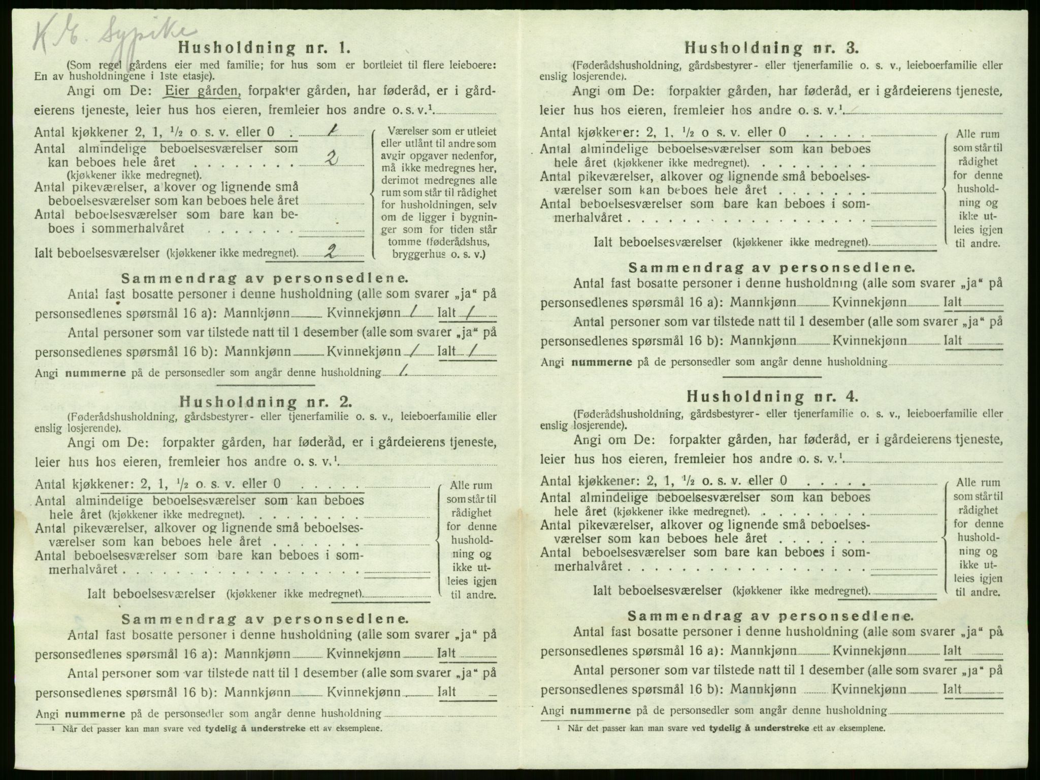 SAKO, 1920 census for Nøtterøy, 1920, p. 1955