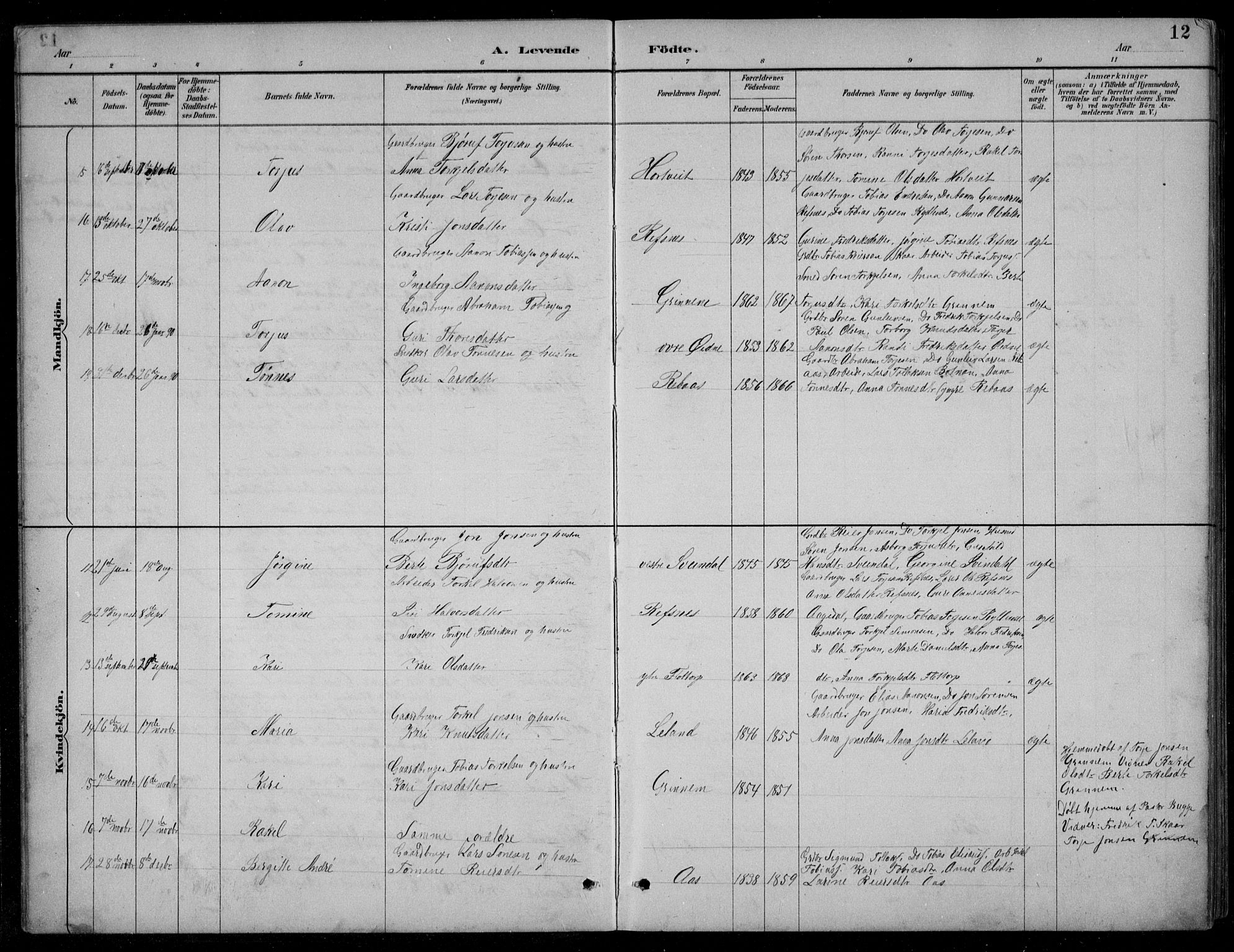 Bjelland sokneprestkontor, SAK/1111-0005/F/Fb/Fbc/L0003: Parish register (copy) no. B 3, 1887-1924, p. 12