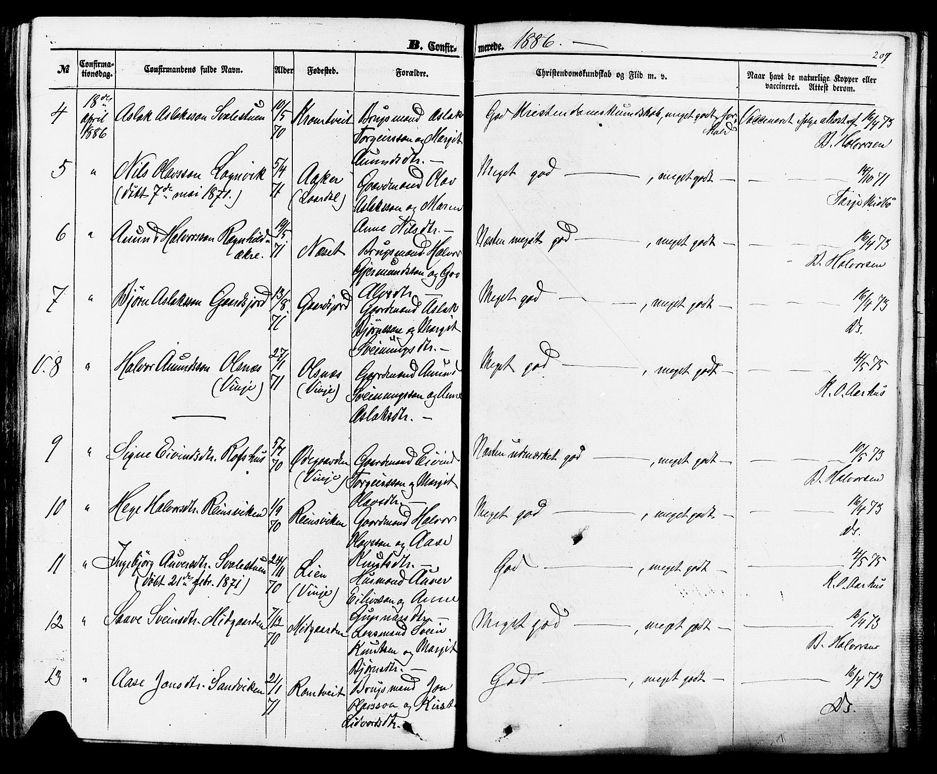 Rauland kirkebøker, SAKO/A-292/F/Fa/L0003: Parish register (official) no. 3, 1859-1886, p. 209