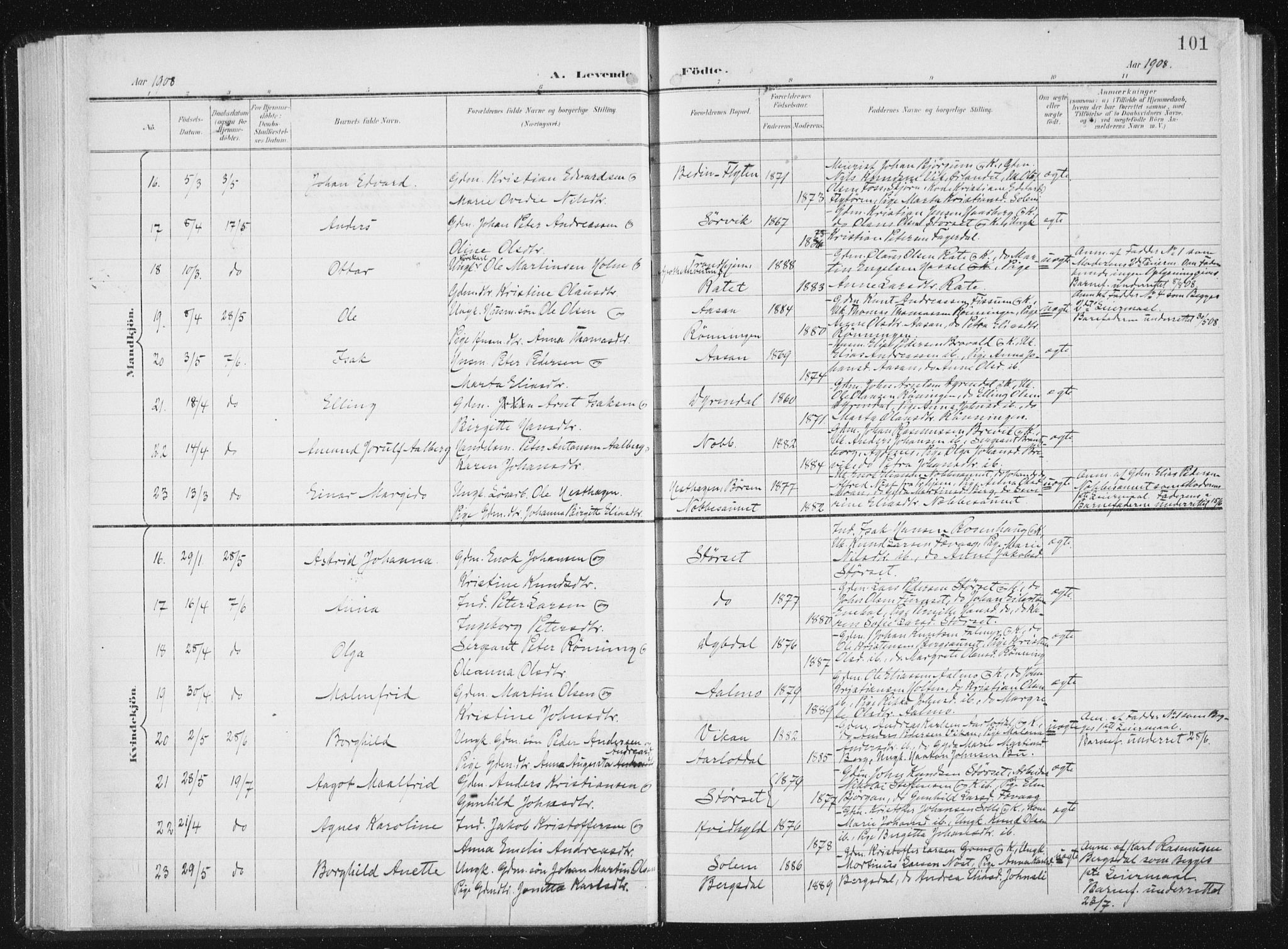 Ministerialprotokoller, klokkerbøker og fødselsregistre - Sør-Trøndelag, SAT/A-1456/647/L0635: Parish register (official) no. 647A02, 1896-1911, p. 101