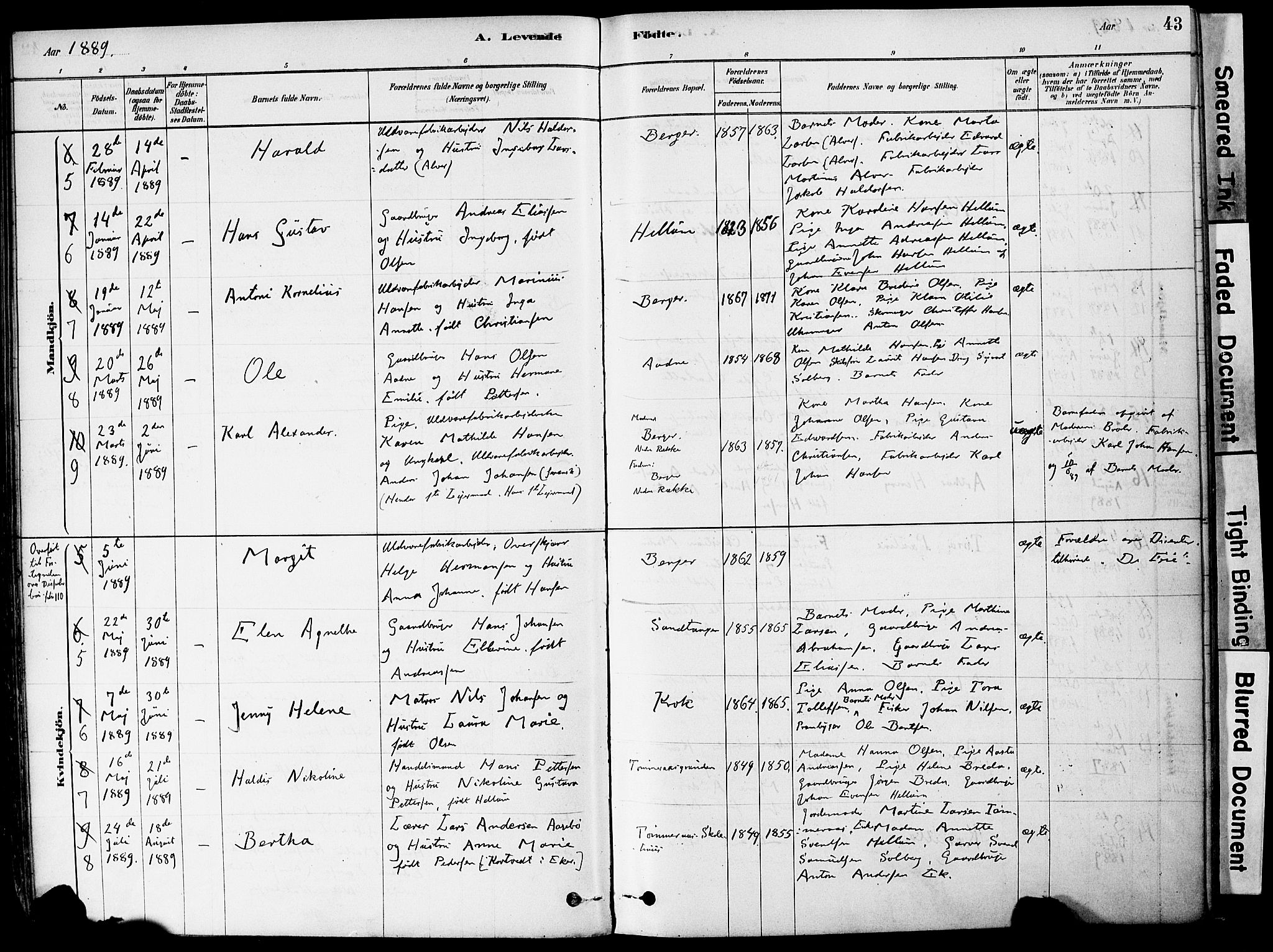 Strømm kirkebøker, AV/SAKO-A-322/F/Fa/L0004: Parish register (official) no. I 4, 1878-1899, p. 43
