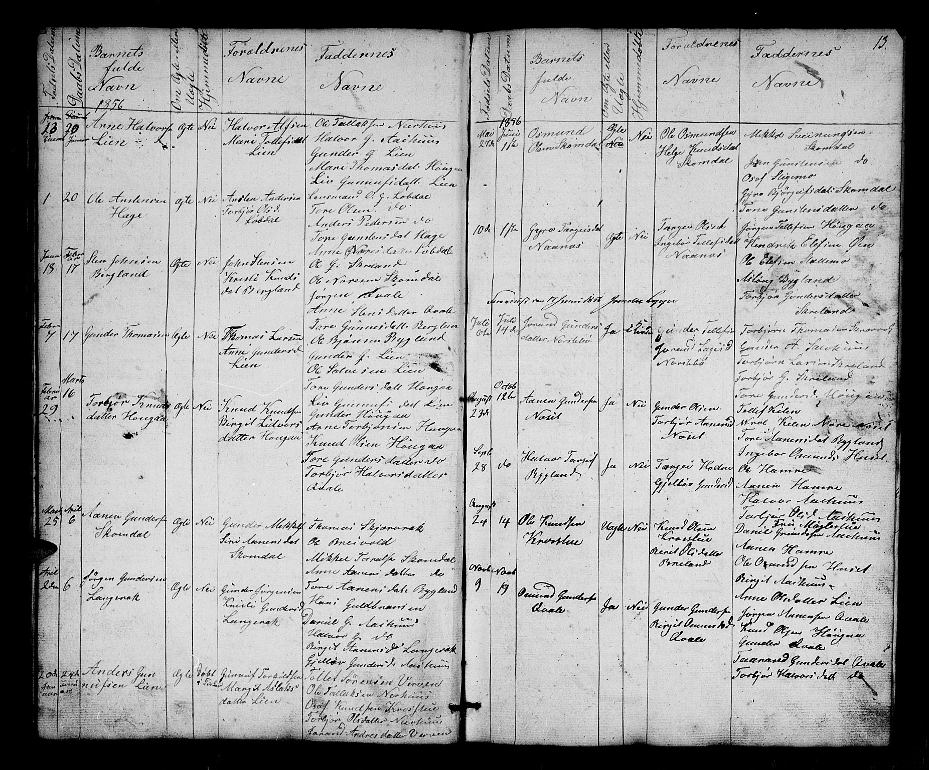 Bygland sokneprestkontor, SAK/1111-0006/F/Fb/Fbb/L0002: Parish register (copy) no. B 2, 1848-1886, p. 13
