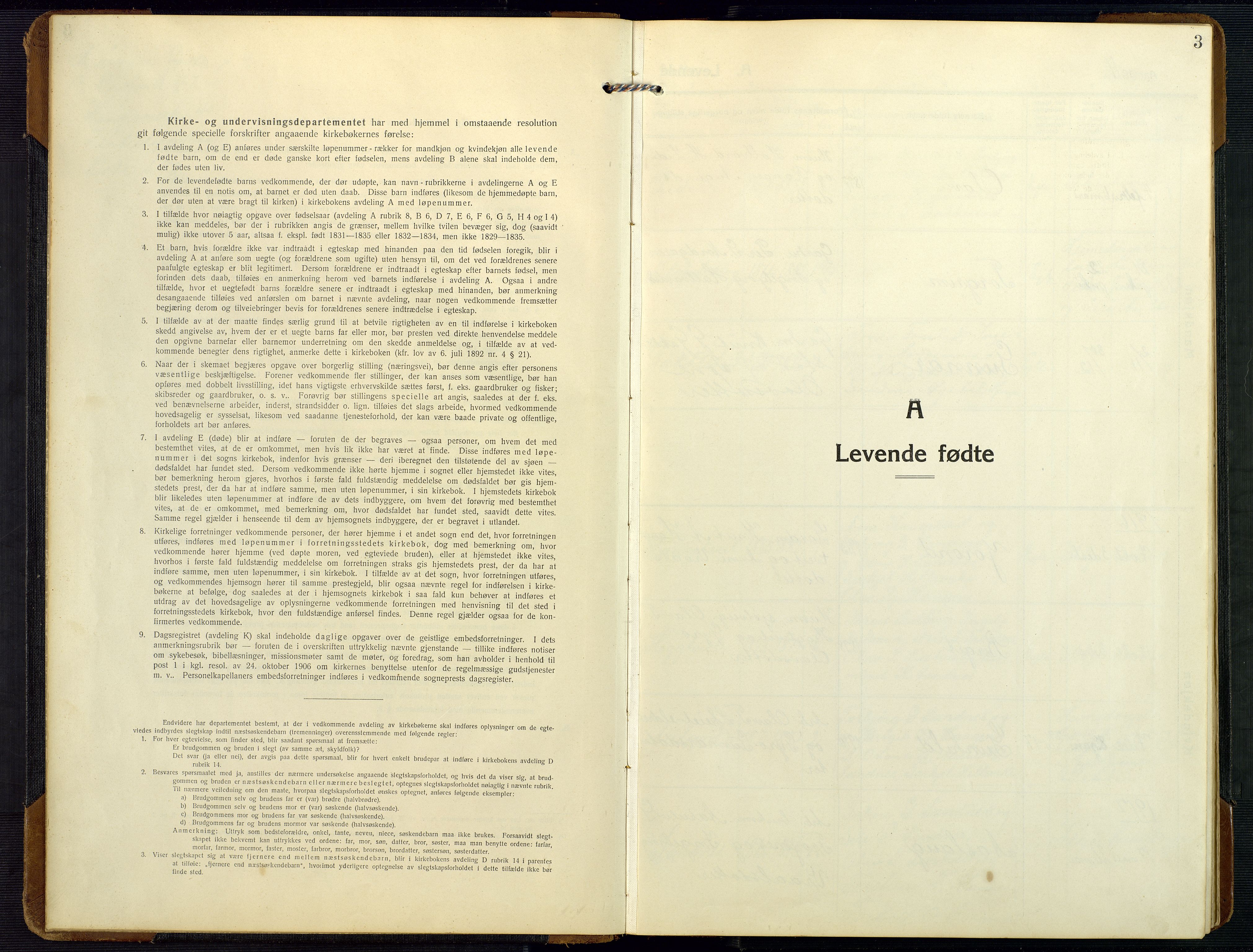 Bygland sokneprestkontor, SAK/1111-0006/F/Fb/Fbc/L0003: Parish register (copy) no. B 3, 1916-1975, p. 3