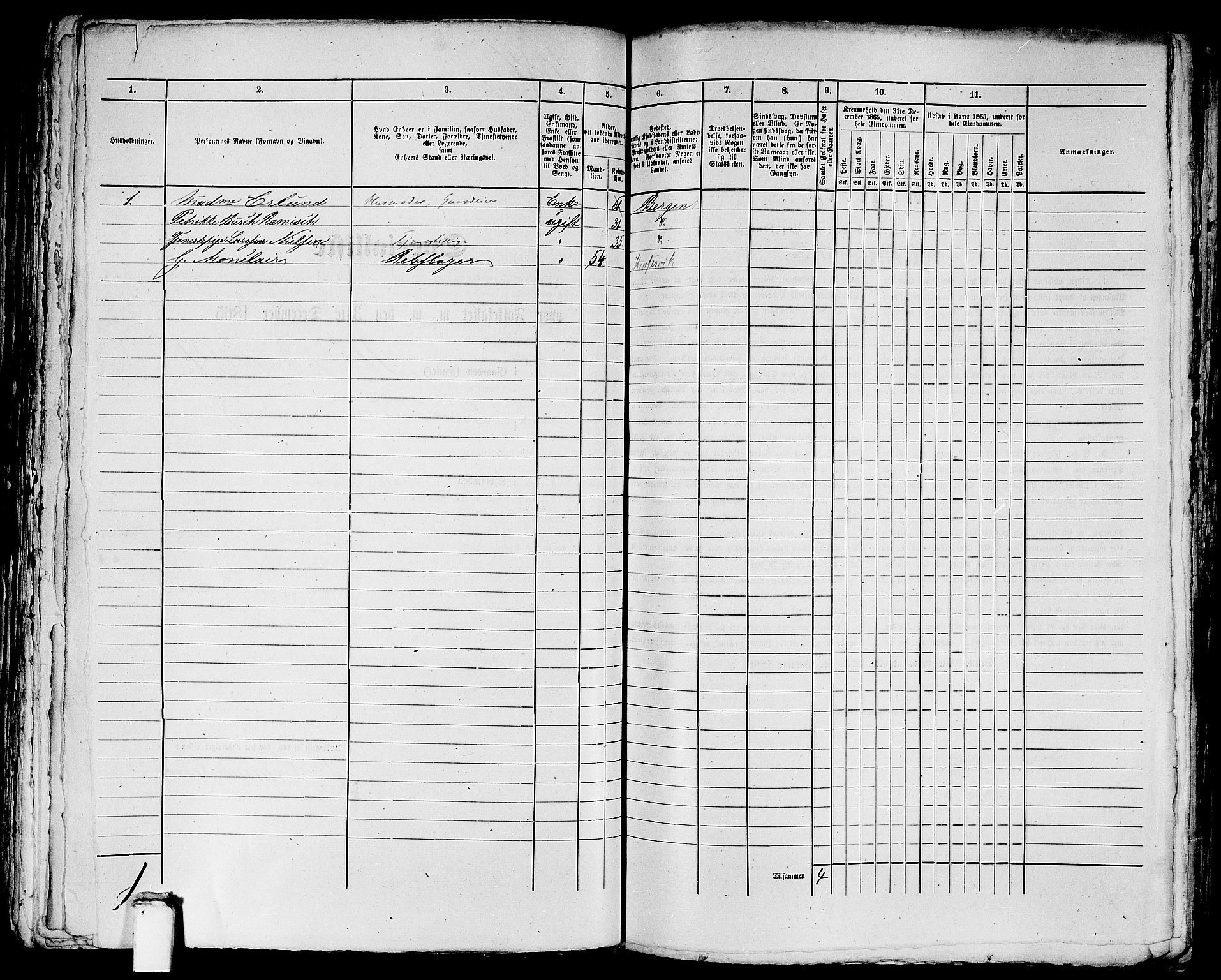 RA, 1865 census for Bergen, 1865, p. 2229