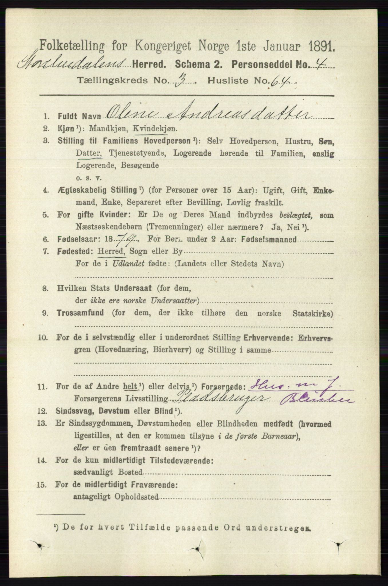 RA, 1891 census for 0430 Stor-Elvdal, 1891, p. 1294