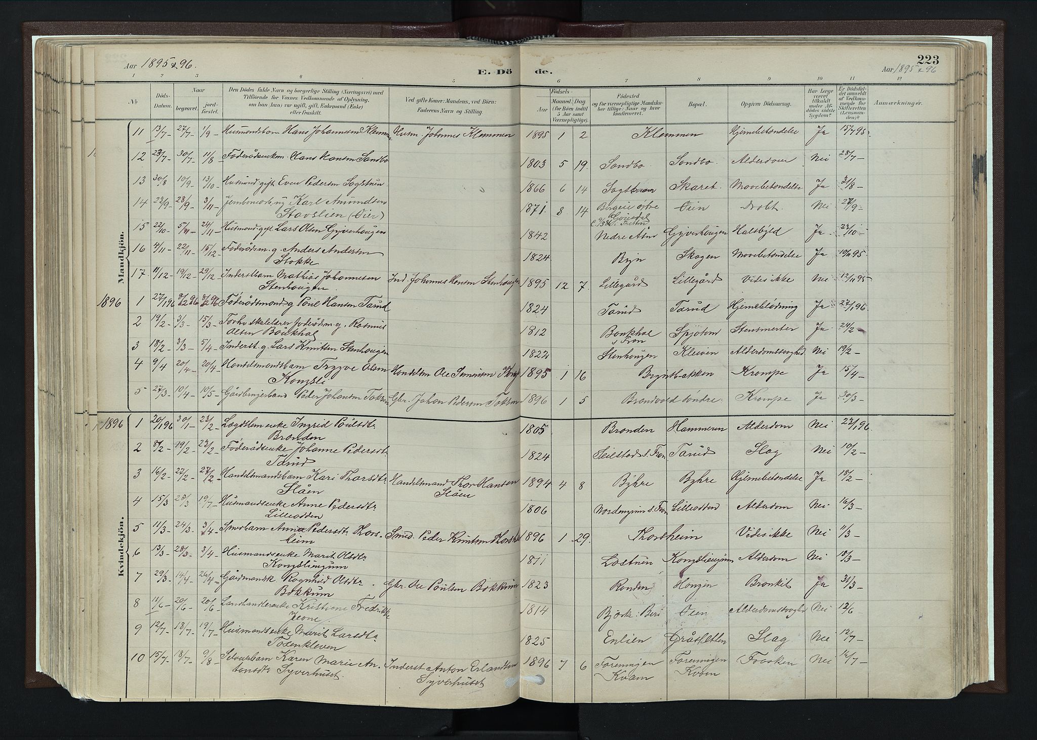 Nord-Fron prestekontor, AV/SAH-PREST-080/H/Ha/Haa/L0004: Parish register (official) no. 4, 1884-1914, p. 223