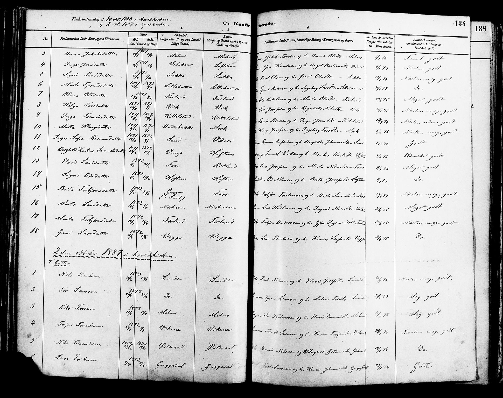 Suldal sokneprestkontor, AV/SAST-A-101845/01/IV/L0011: Parish register (official) no. A 11, 1878-1900, p. 134