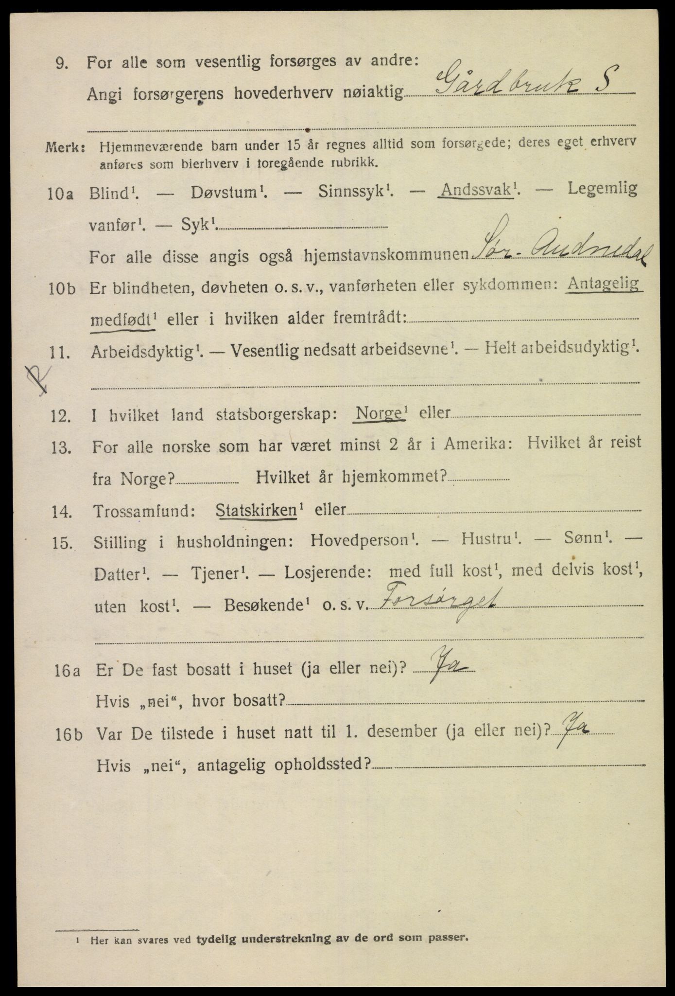 SAK, 1920 census for Sør-Audnedal, 1920, p. 2494