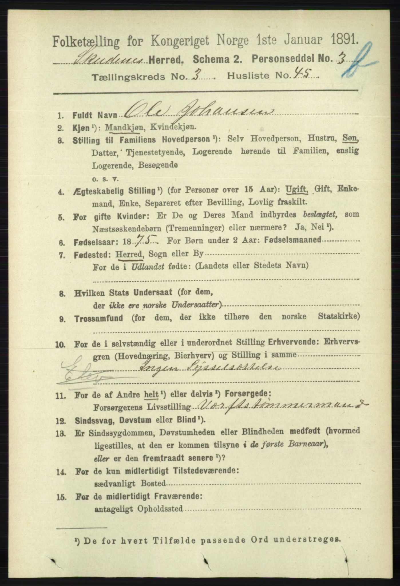 RA, 1891 census for 1150 Skudenes, 1891, p. 4233