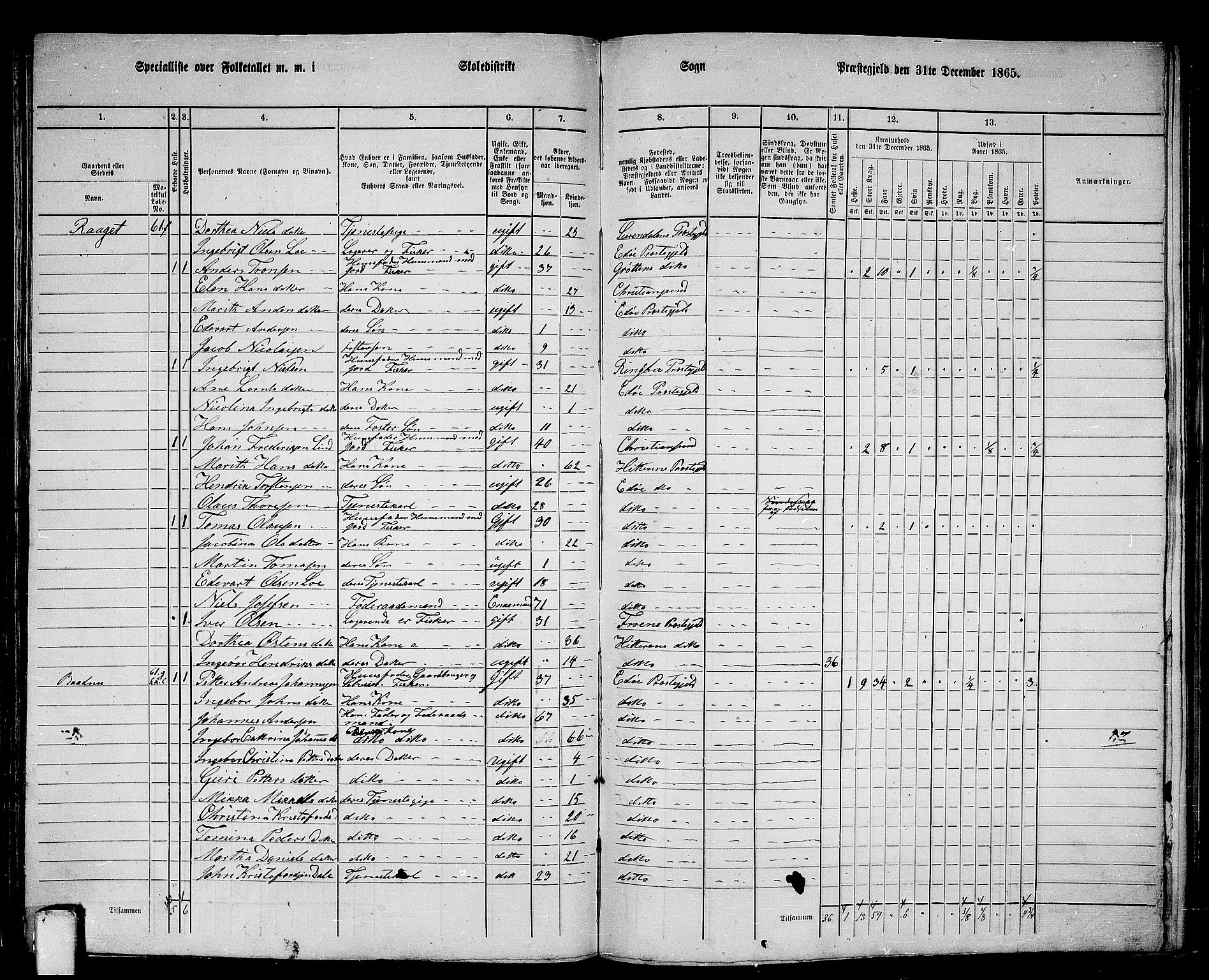 RA, 1865 census for Edøy, 1865, p. 126