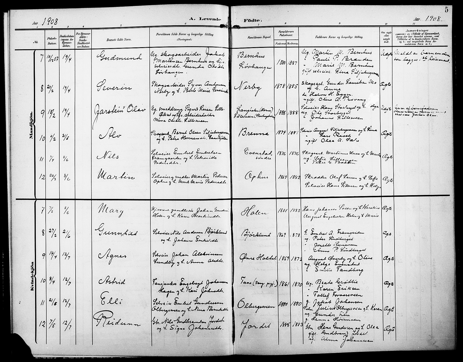 Elverum prestekontor, SAH/PREST-044/H/Ha/Hab/L0008: Parish register (copy) no. 8, 1908-1918, p. 5