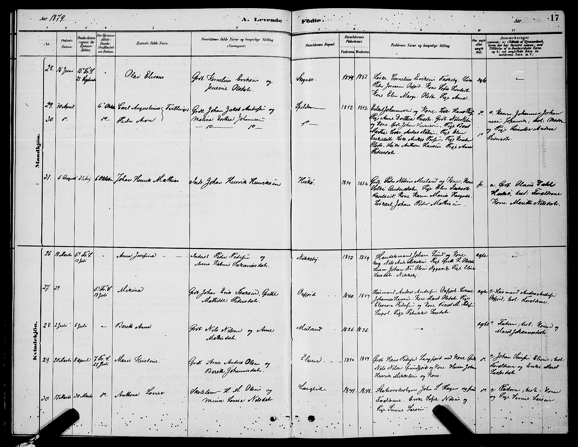 Skjervøy sokneprestkontor, AV/SATØ-S-1300/H/Ha/Hab/L0006klokker: Parish register (copy) no. 6, 1878-1888, p. 17