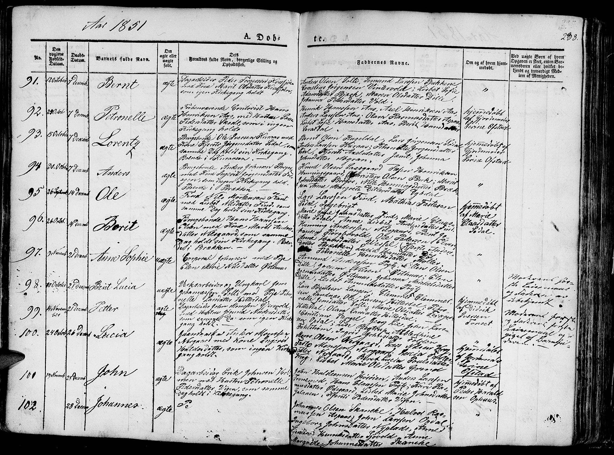 Ministerialprotokoller, klokkerbøker og fødselsregistre - Sør-Trøndelag, SAT/A-1456/681/L0938: Parish register (copy) no. 681C02, 1829-1879, p. 238