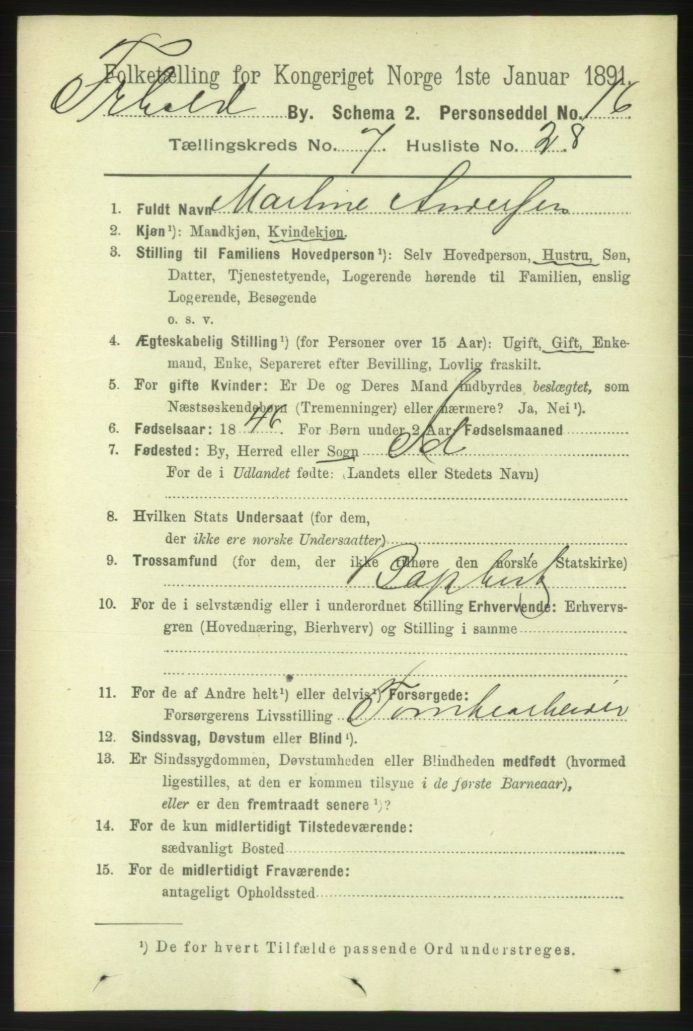 RA, 1891 census for 0101 Fredrikshald, 1891, p. 5396