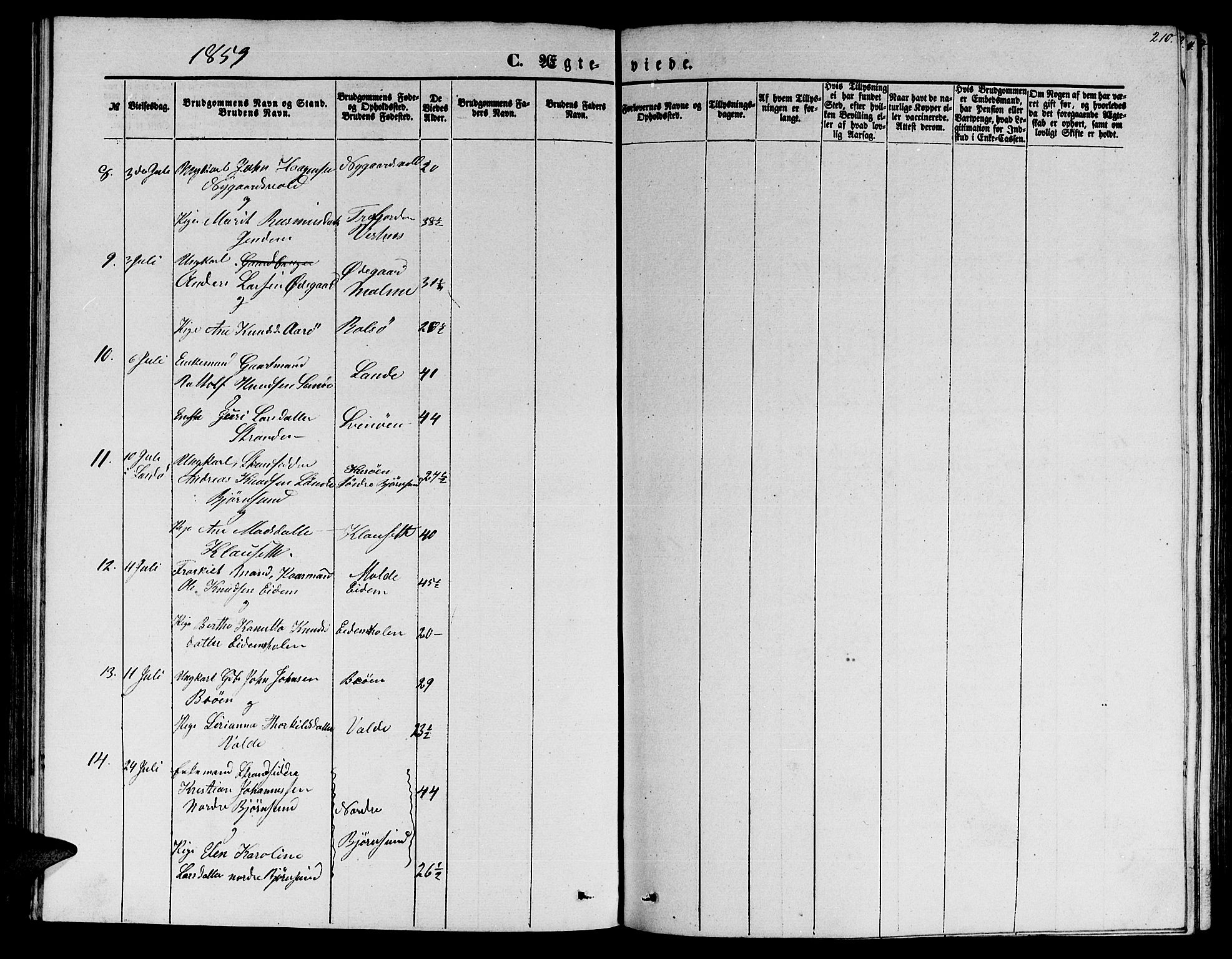 Ministerialprotokoller, klokkerbøker og fødselsregistre - Møre og Romsdal, AV/SAT-A-1454/565/L0753: Parish register (copy) no. 565C02, 1845-1870, p. 210