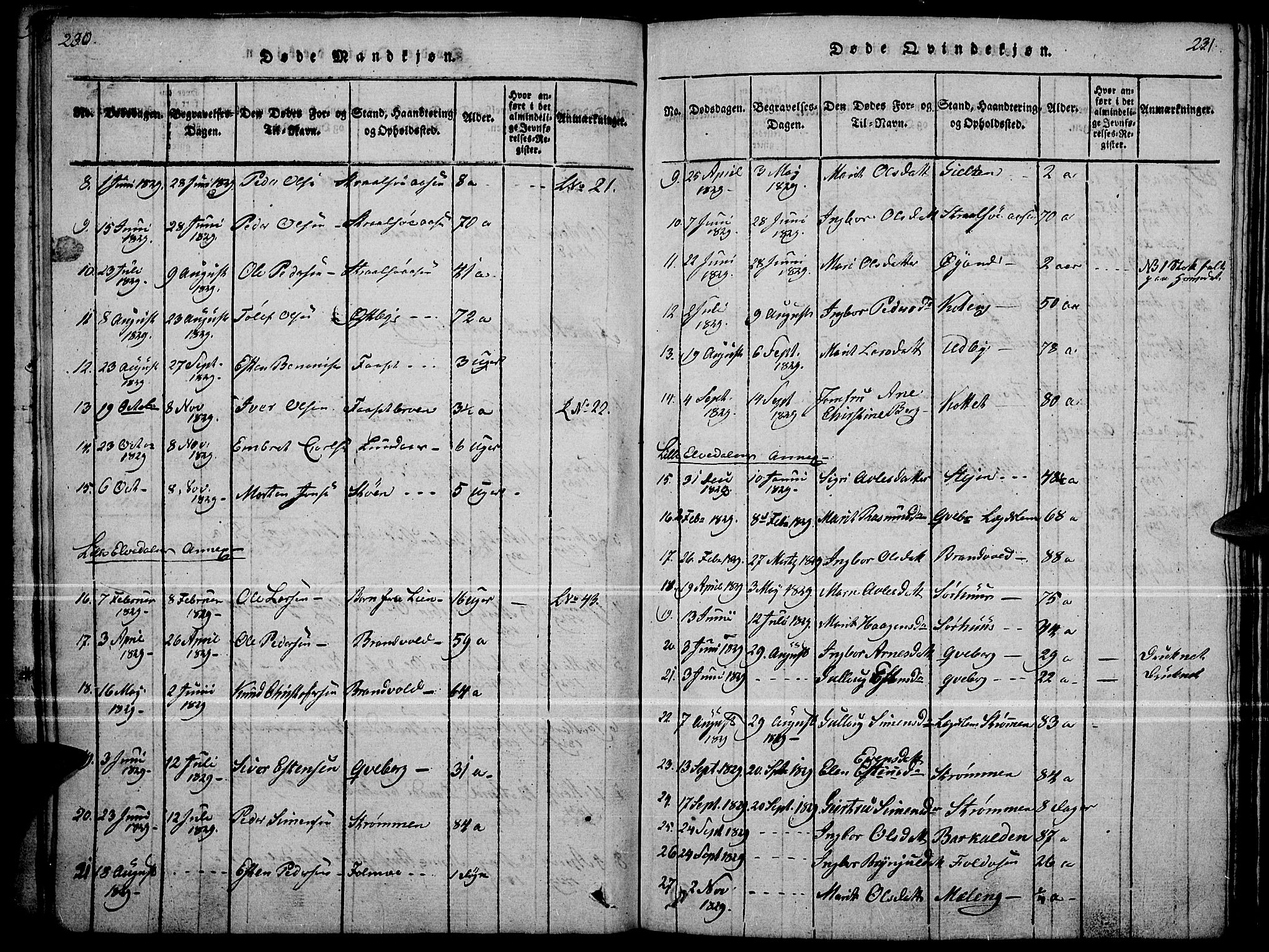 Tynset prestekontor, AV/SAH-PREST-058/H/Ha/Haa/L0018: Parish register (official) no. 18, 1815-1829, p. 230-231